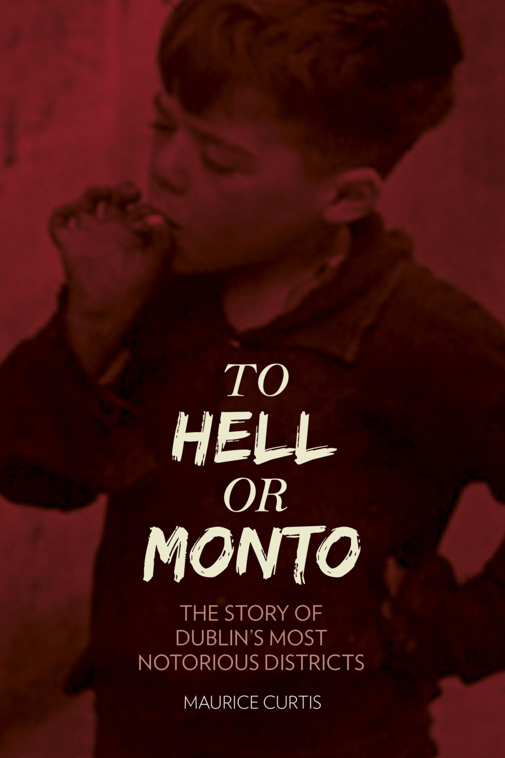 To Hell or Monto: The Story Of Dublin's Most Notorius Districts: The Story of Dublin's Most Notorious Districts Politics & History