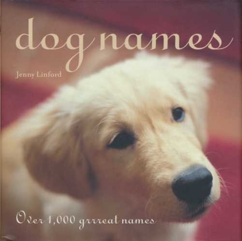 Dog Names: Over 1000 Grrreat Names Pets