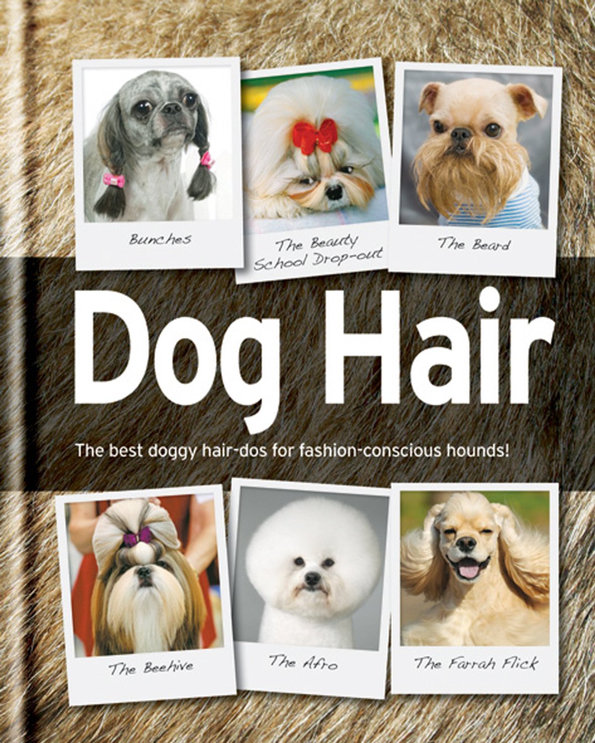 Dog Hair: The Best Doggy Hair-DOS for Fashion-Conscious Hounds! Lifestyle