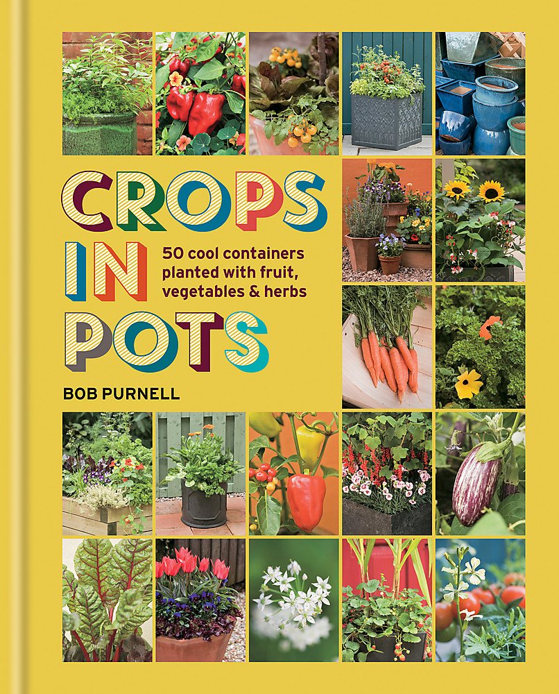 Crops in Pots: 50 cool containers planted with fruit, vegetables and herbs Garden & Plants