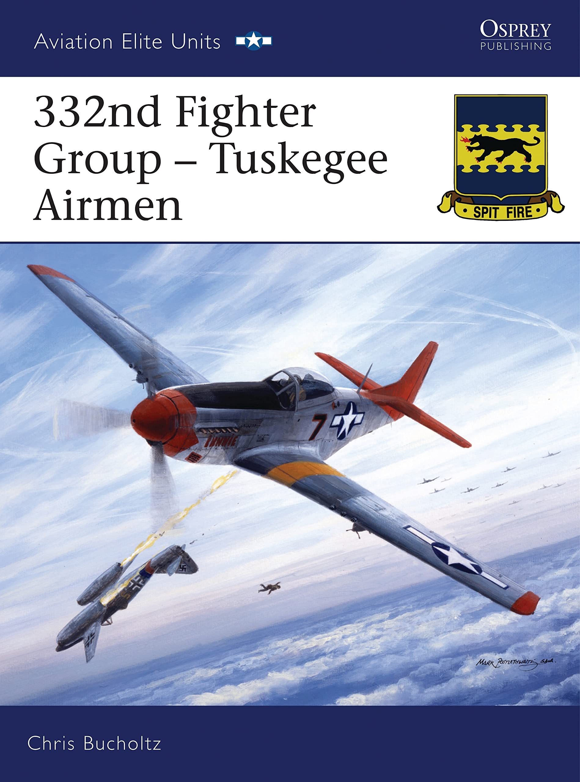 332nd Fighter Group - Tuskegee Airmen (Aviation Elite Units, 24, Band 24) Social Sciences