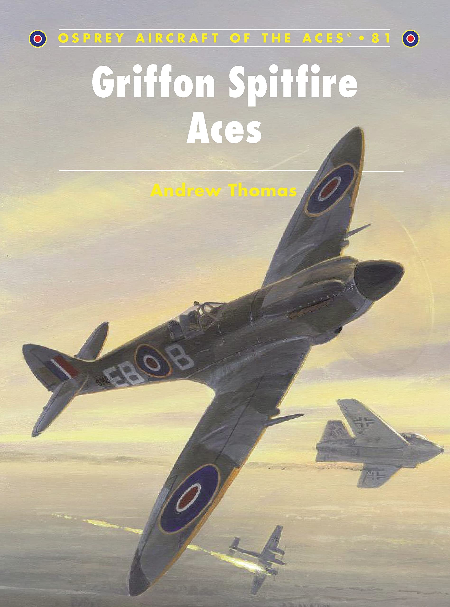 Griffon-spitfire Aces (Aircraft of the Aces, 81, Band 81) Social Sciences