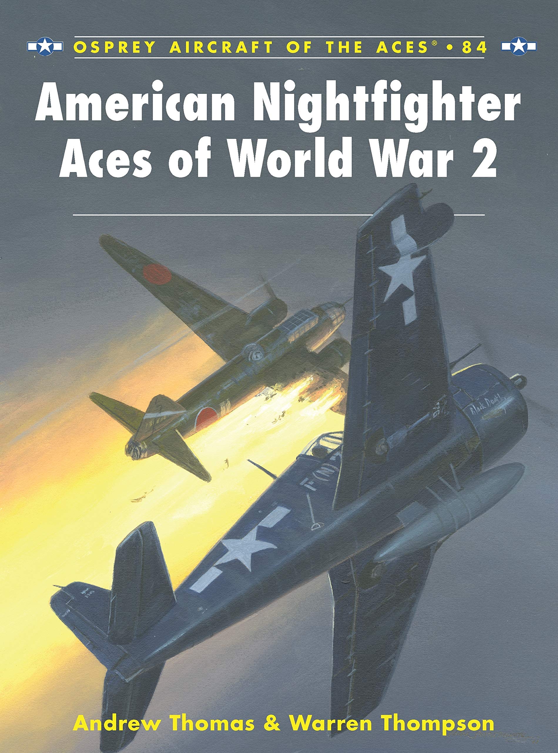 American Nightfighter Aces of World War 2 book
