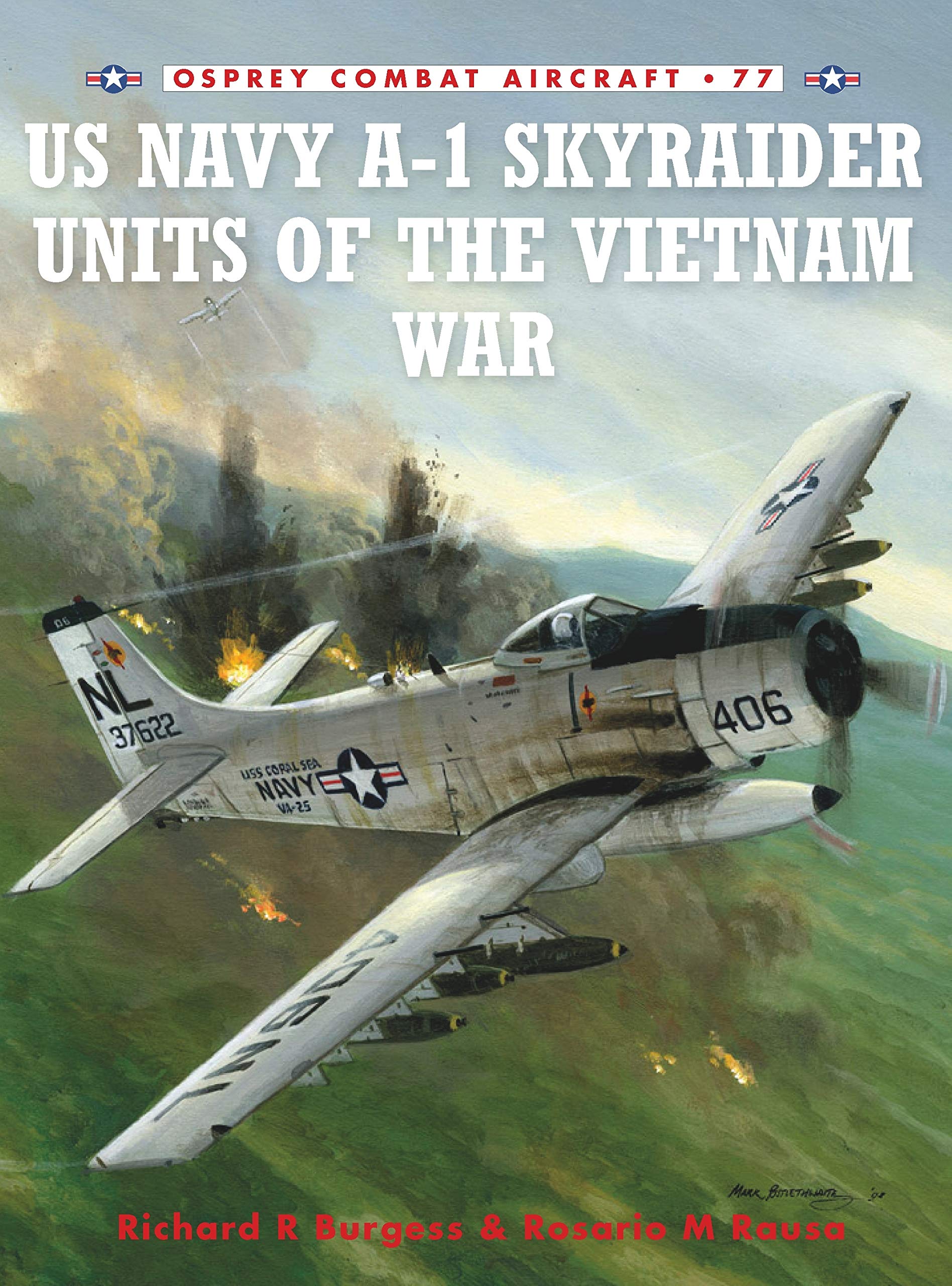 A-1 Skyraider Units of the Vietnam War (Osprey Combat Aircraft, 77) Social Sciences