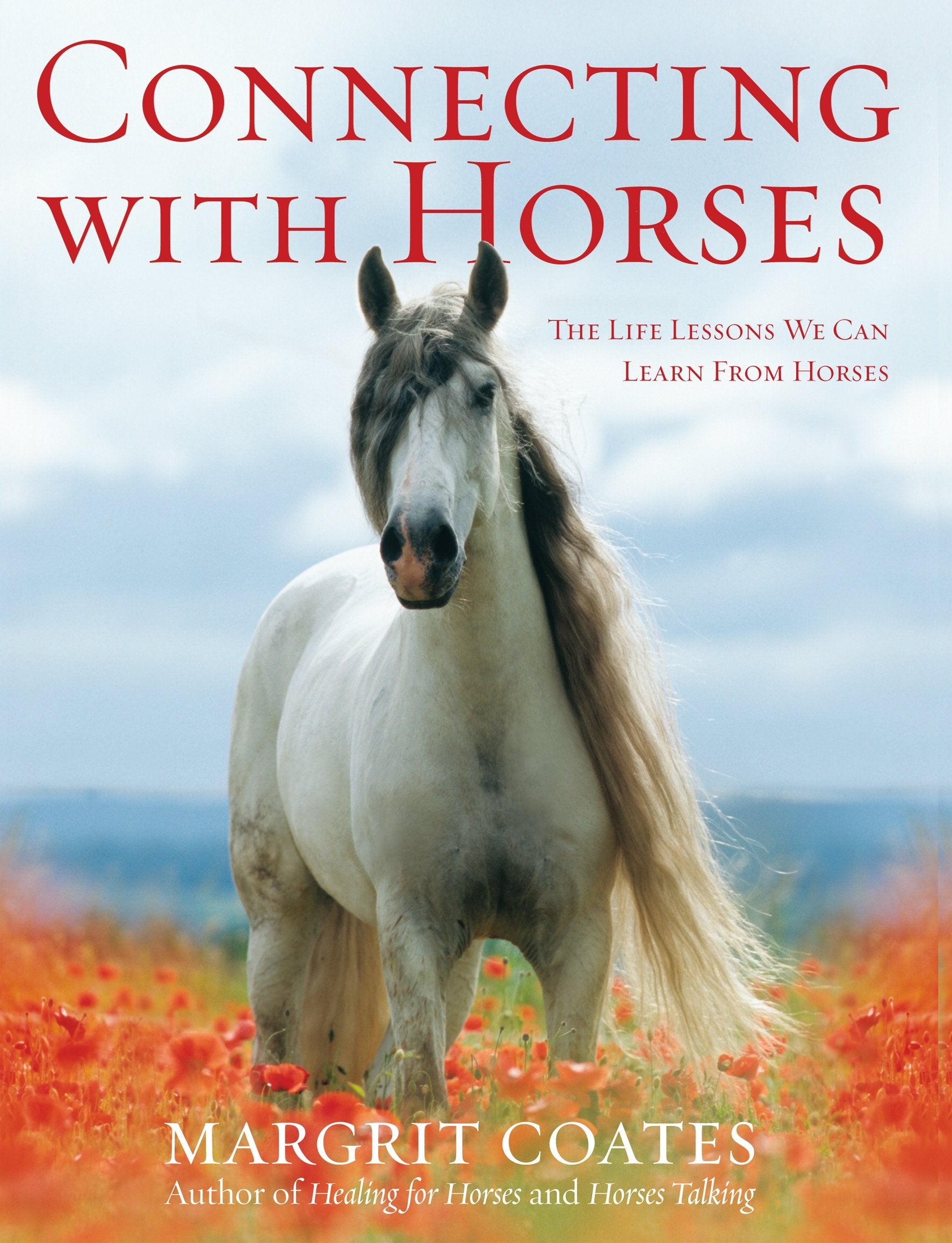 Connecting with Horses: The Life Lessons We Can Learn from Horses Pets