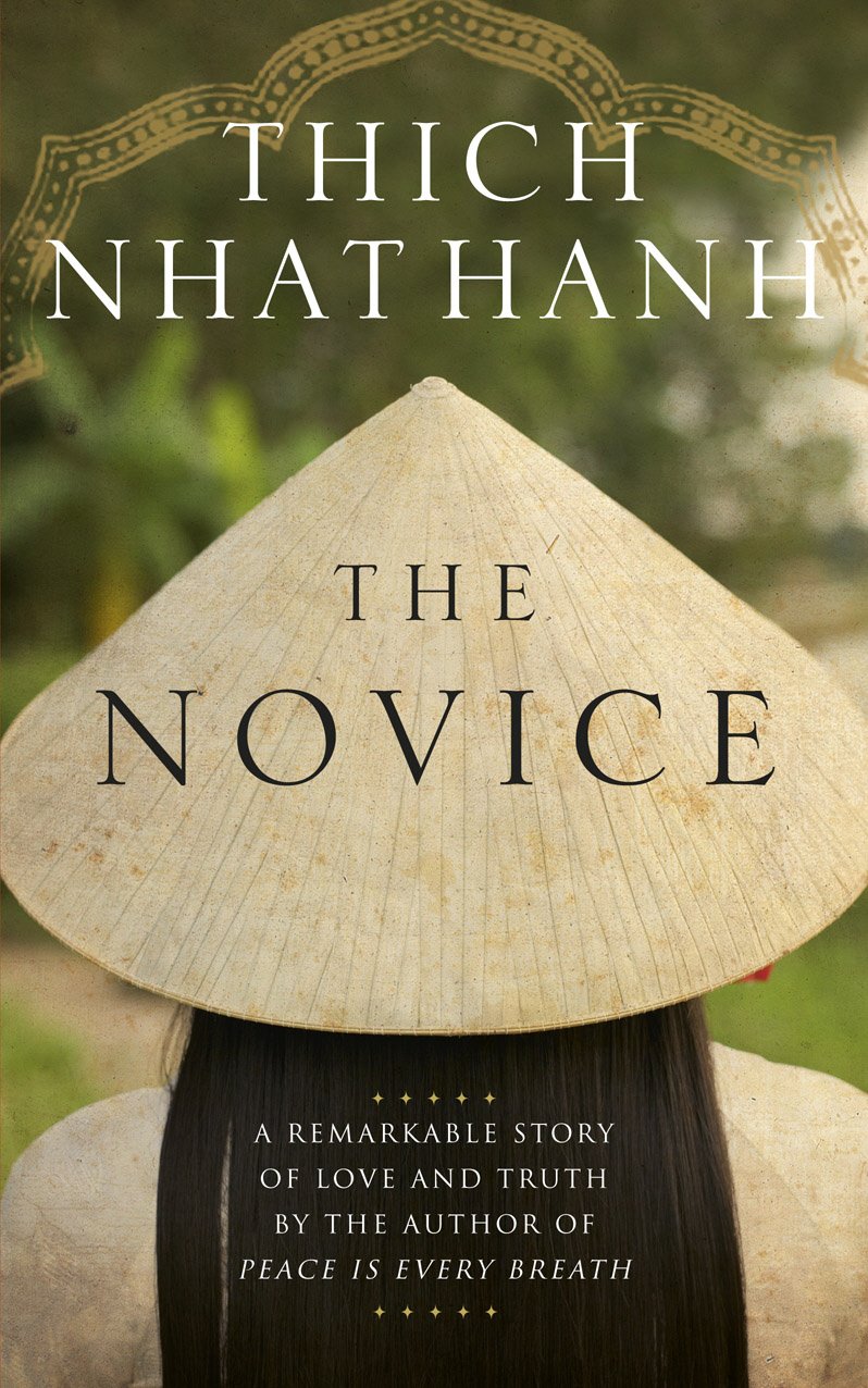 The Novice: A remarkable story of love and truth book