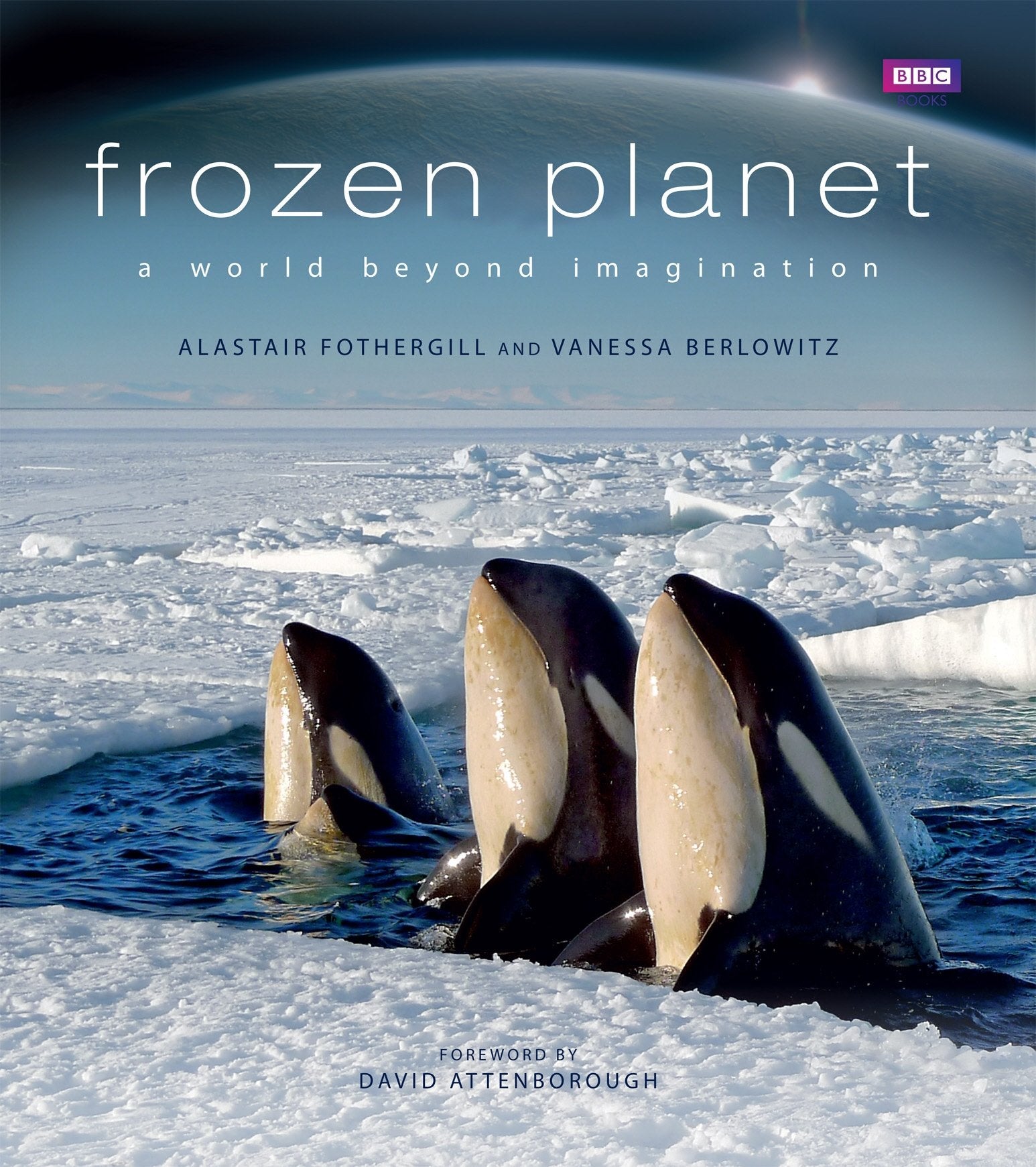 Frozen Planet book