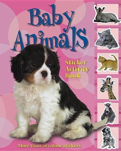 Lift Stick and Learn Baby Animals (Life Lessons) Non-fiction