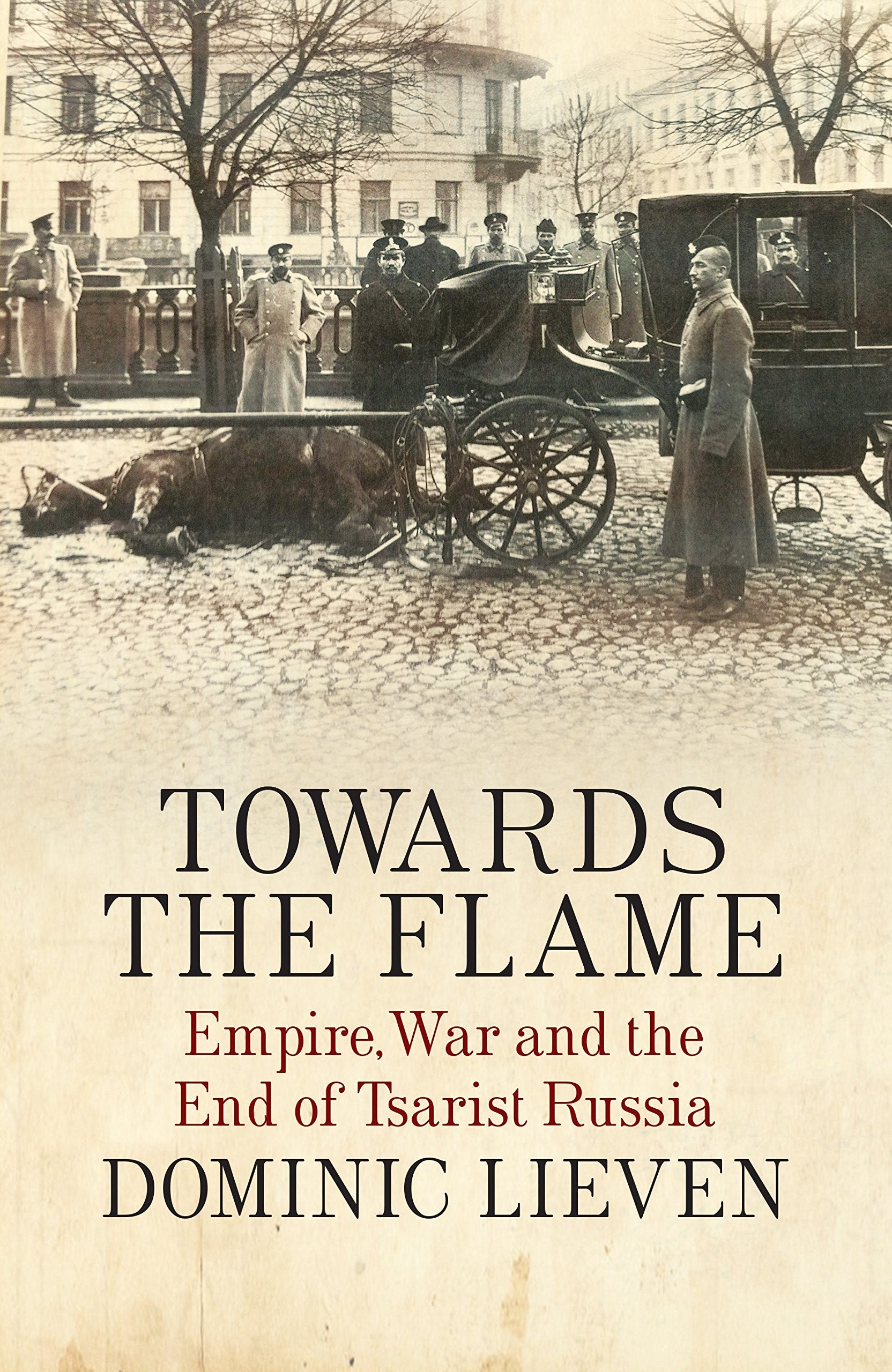 Towards the Flame: Empire, War and the End of Tsarist Russia German history