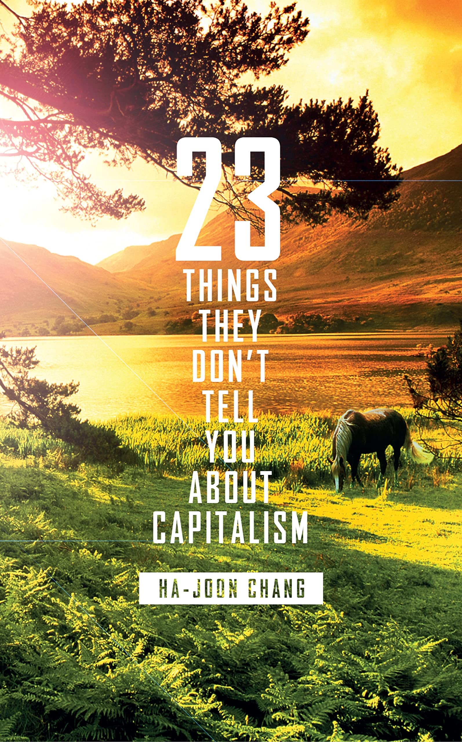 23 Things They Don't Tell You About Capitalism Law