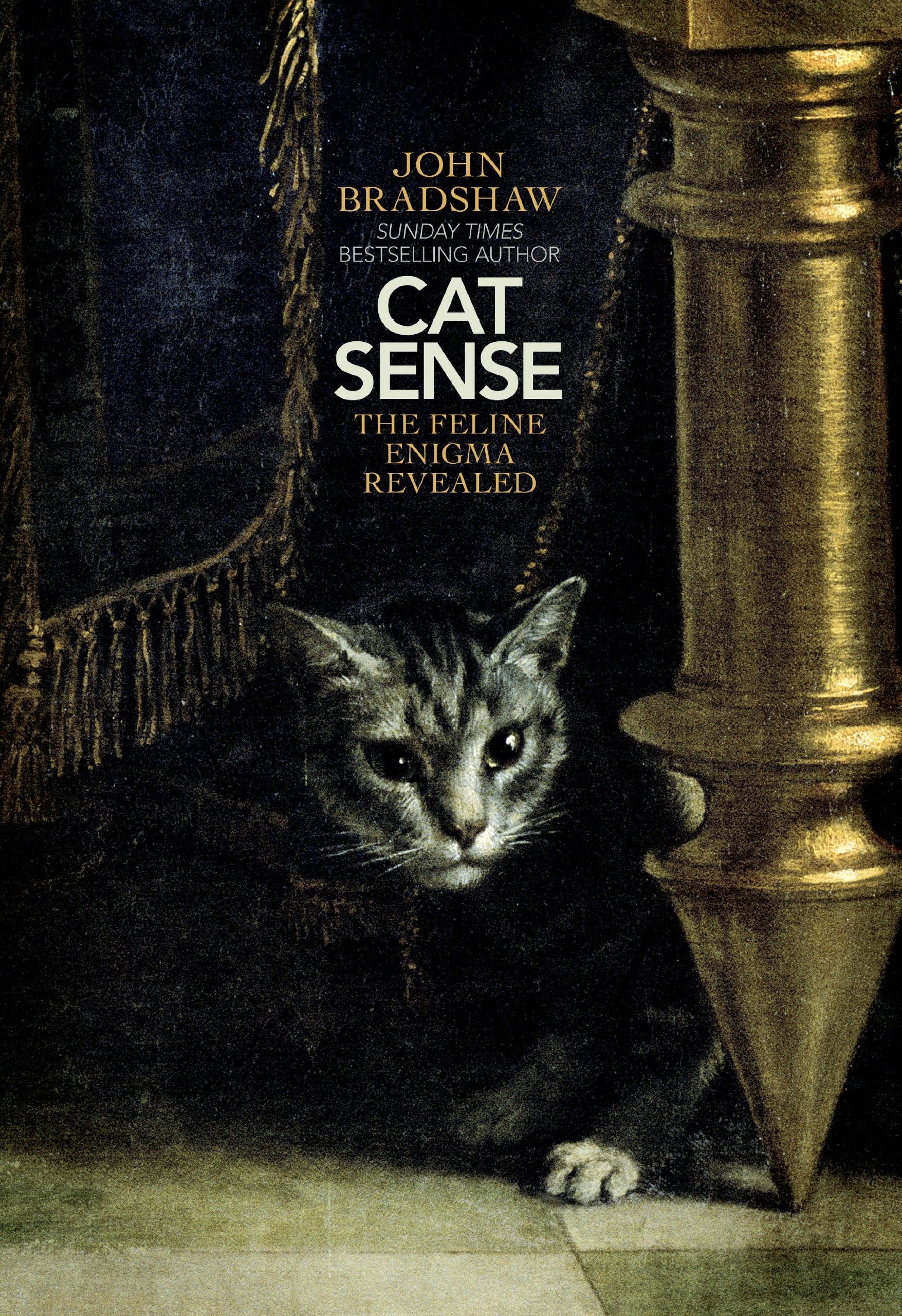 Cat Sense: The Feline Enigma Revealed Pets