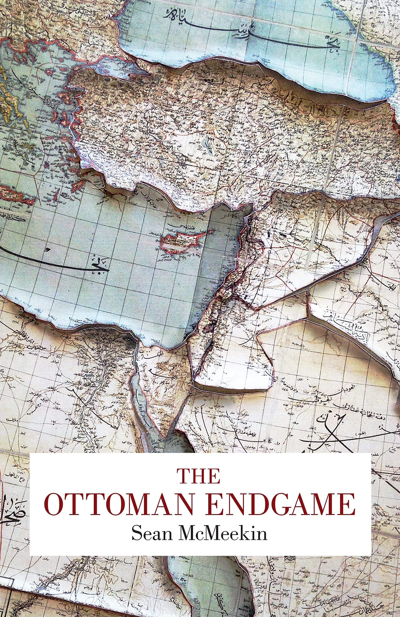 The Ottoman Endgame: War, Revolution and the Making of the Modern Middle East, 1908-1923 Social Sciences