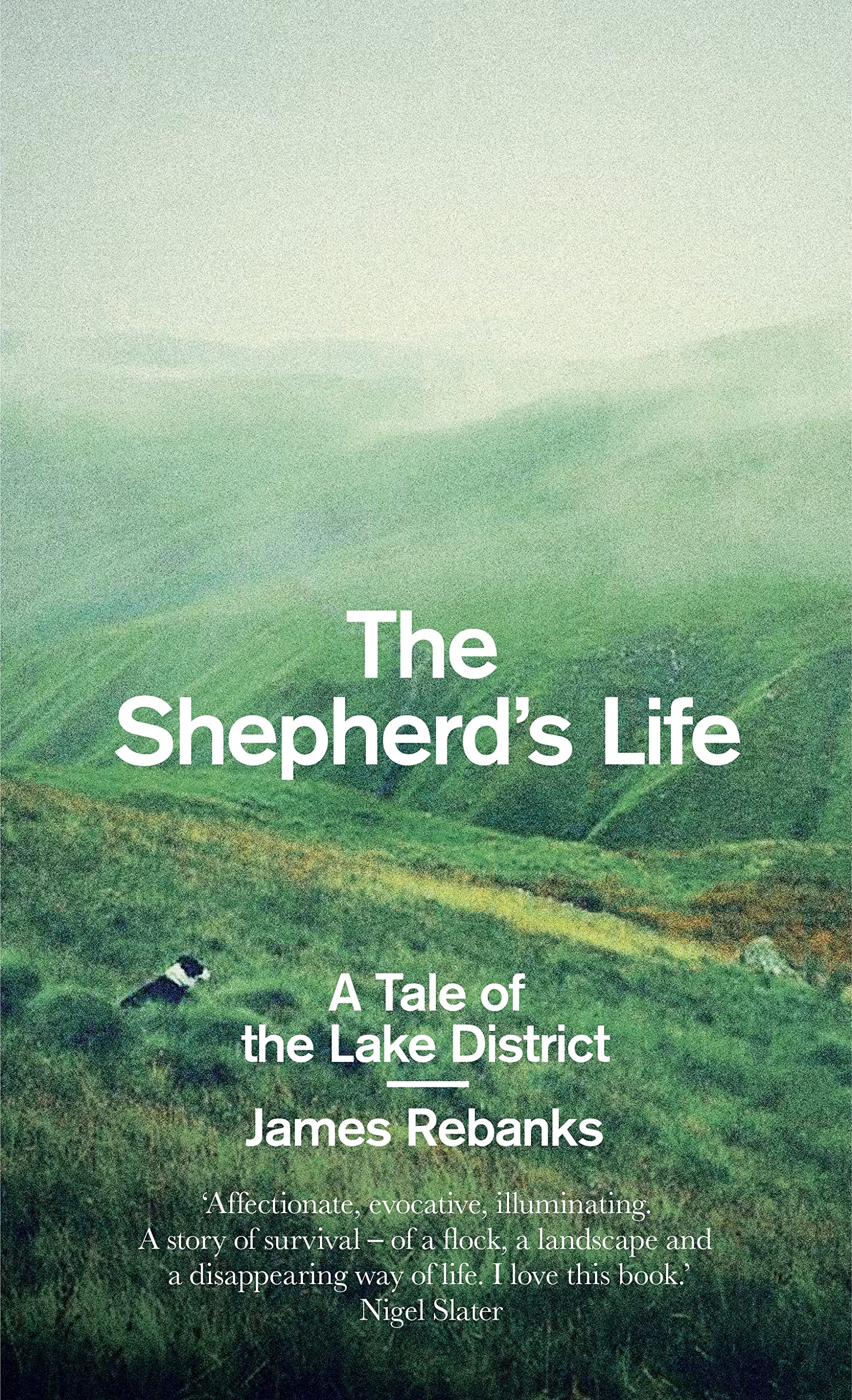 Product Image: The Shepherd's Life