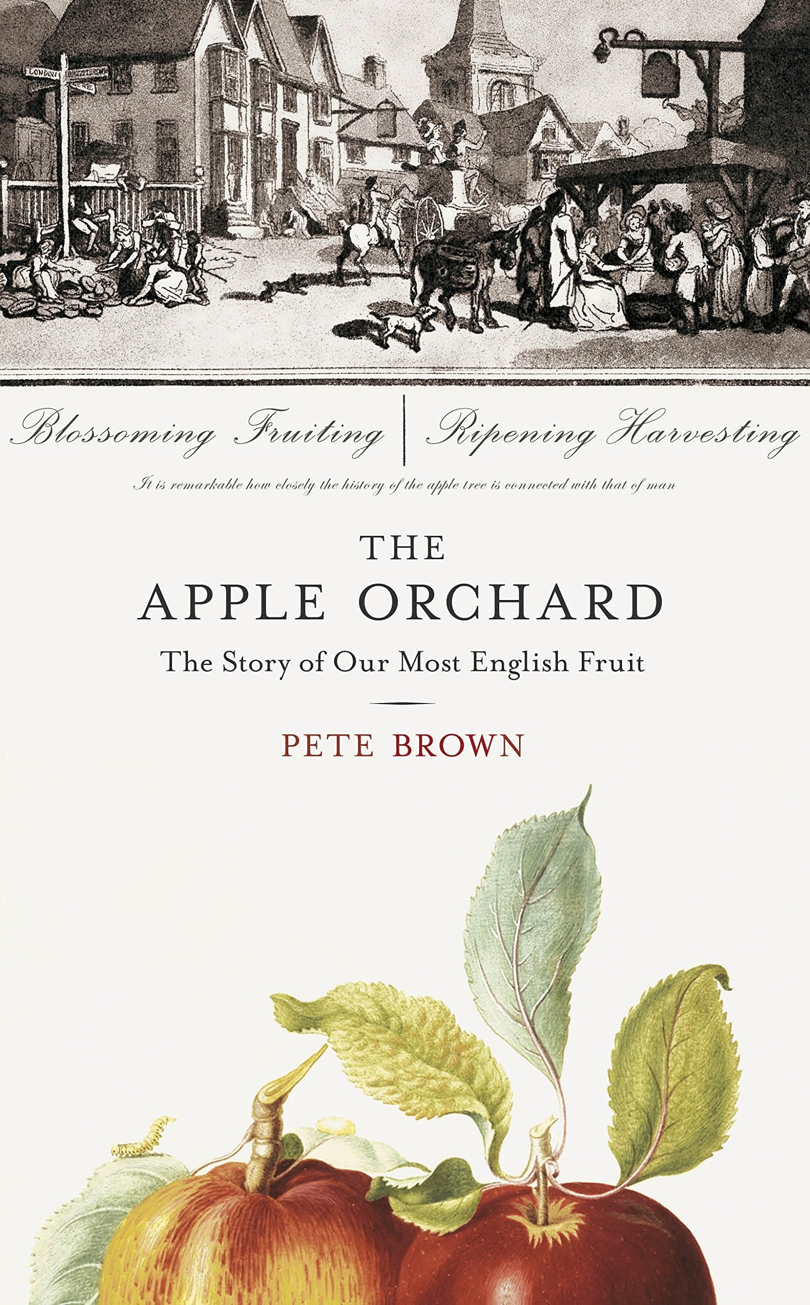 The Apple Orchard: The Story of Our Most English Fruit Social Sciences