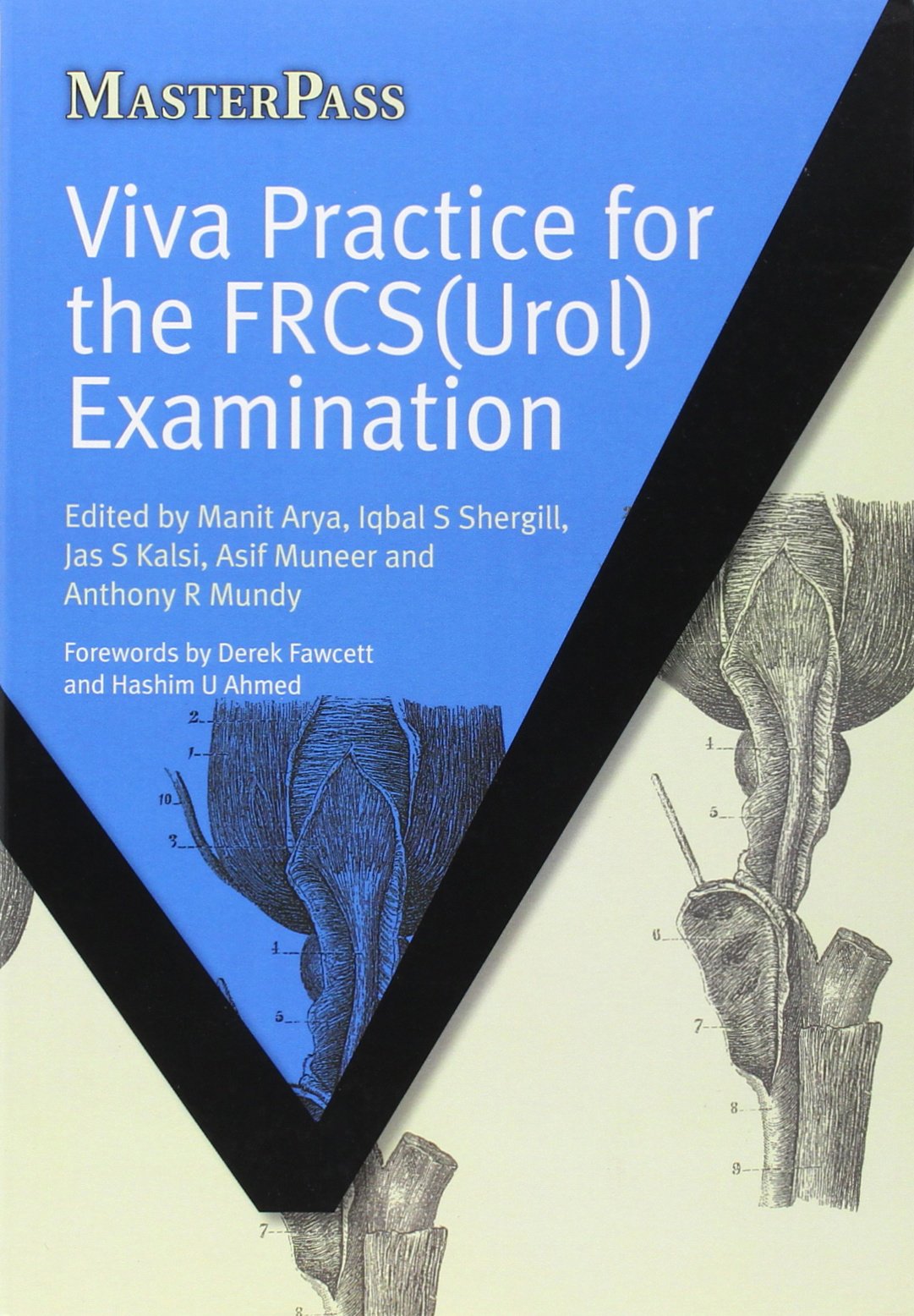 Viva Practice for the Frcs Urol Examination book