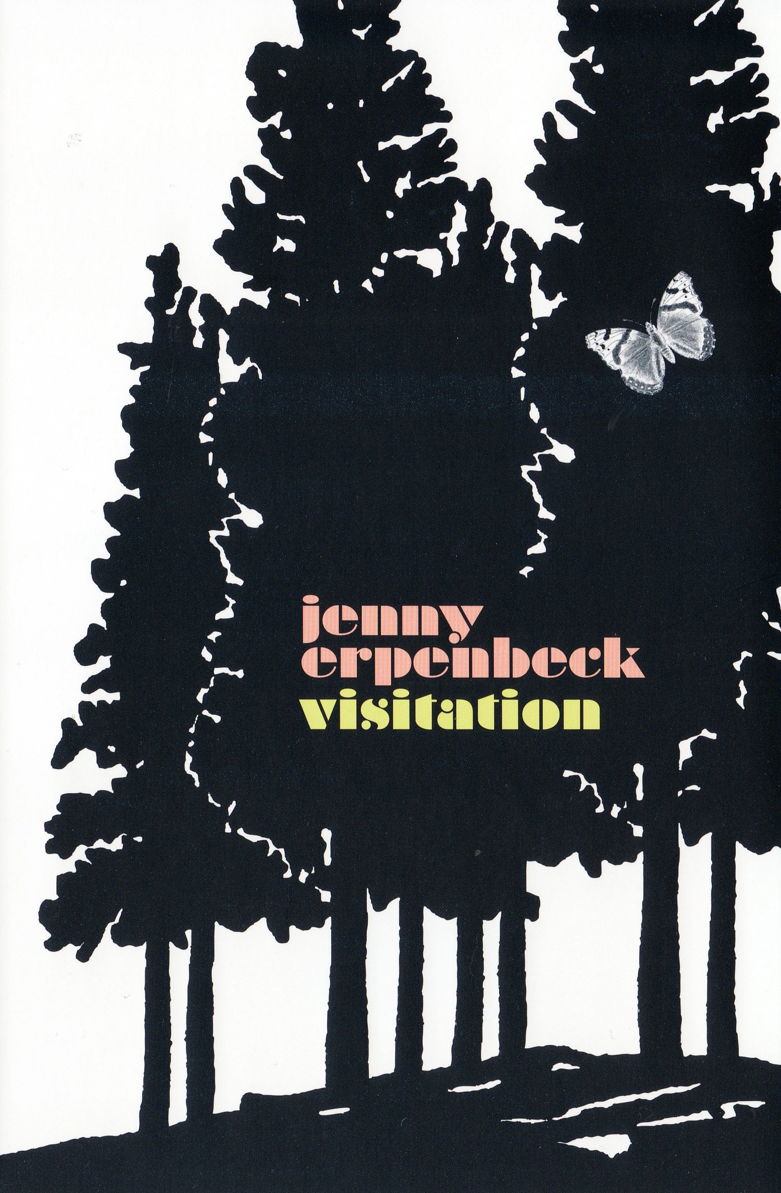 Visitation: Winner of the Hertha-Koenig-Literaturpreis 2008 and Heimito von Doderer-Literaturpreis 2008 Contemporary literature Books
