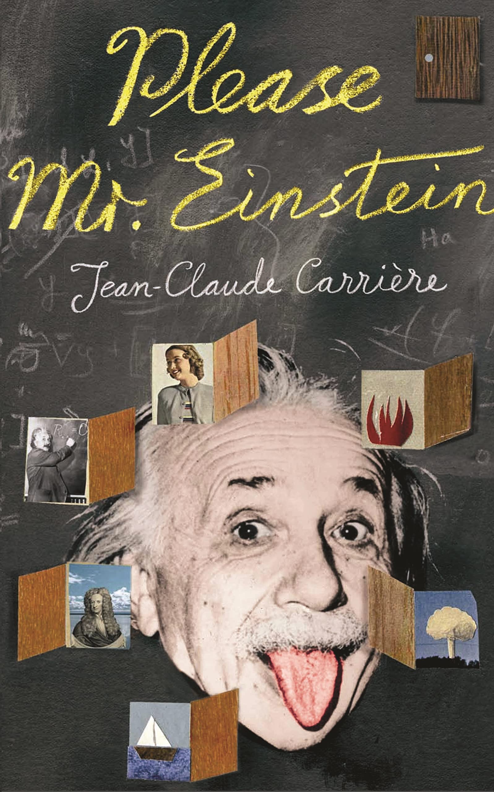 Please, Mr Einstein Contemporary literature Books