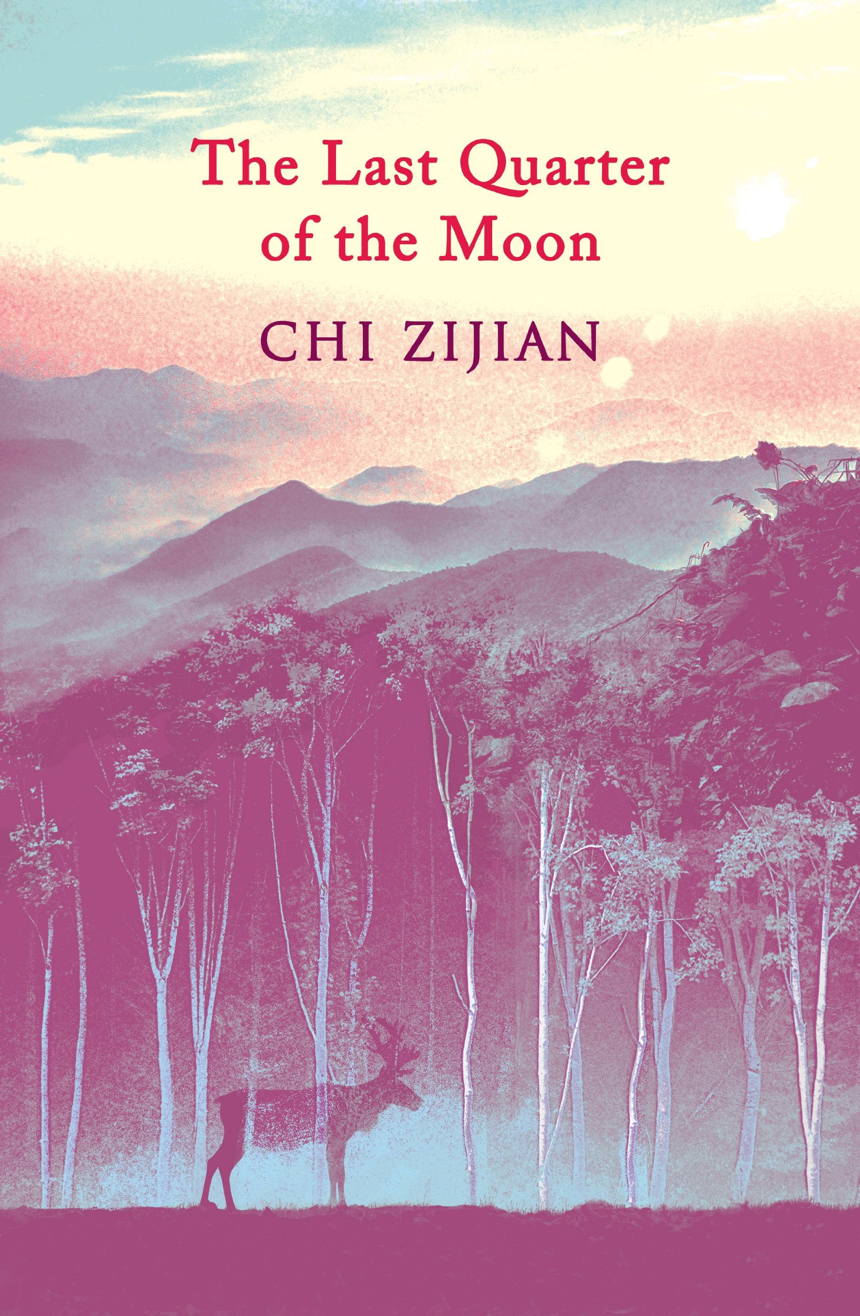 The Last Quarter of the Moon book