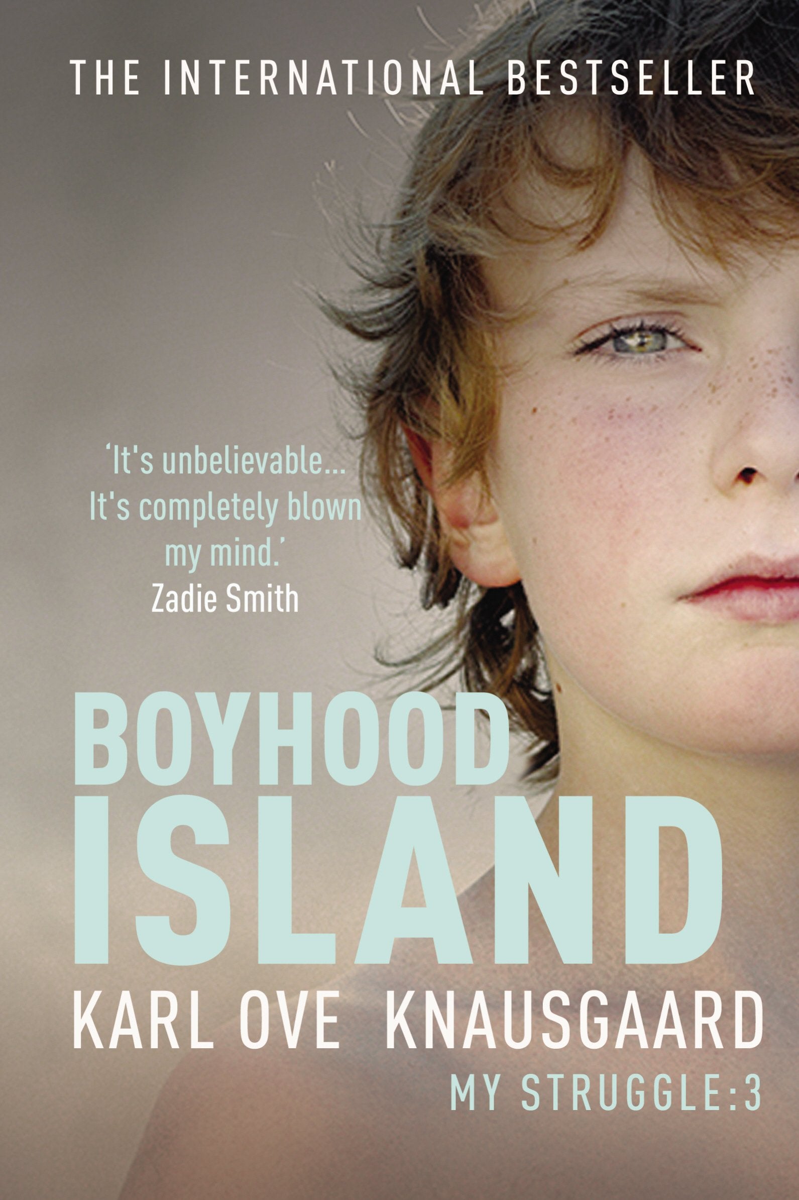 Boyhood Island: My Struggle Book 3 Contemporary literature