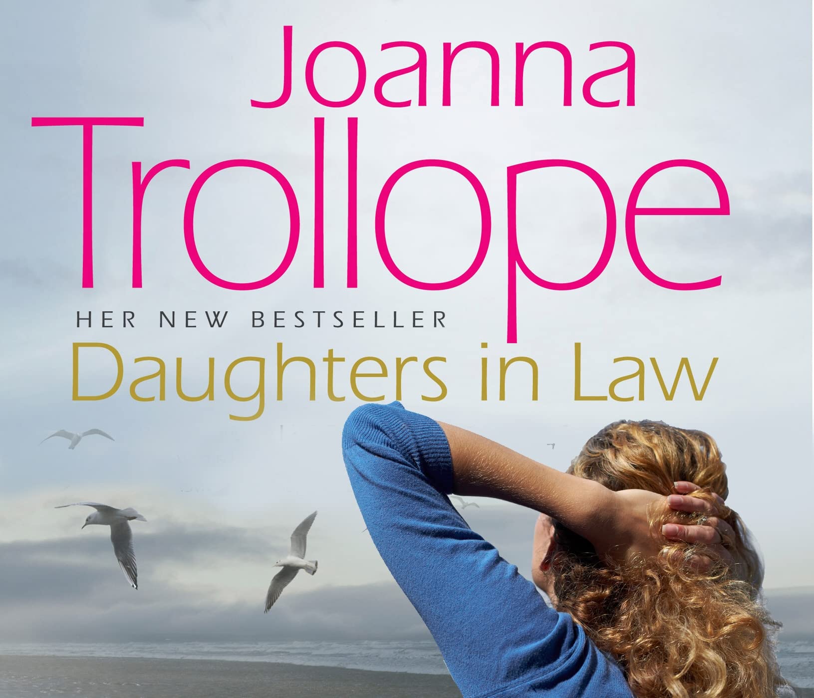 Daughters-in-Law Contemporary literature Books