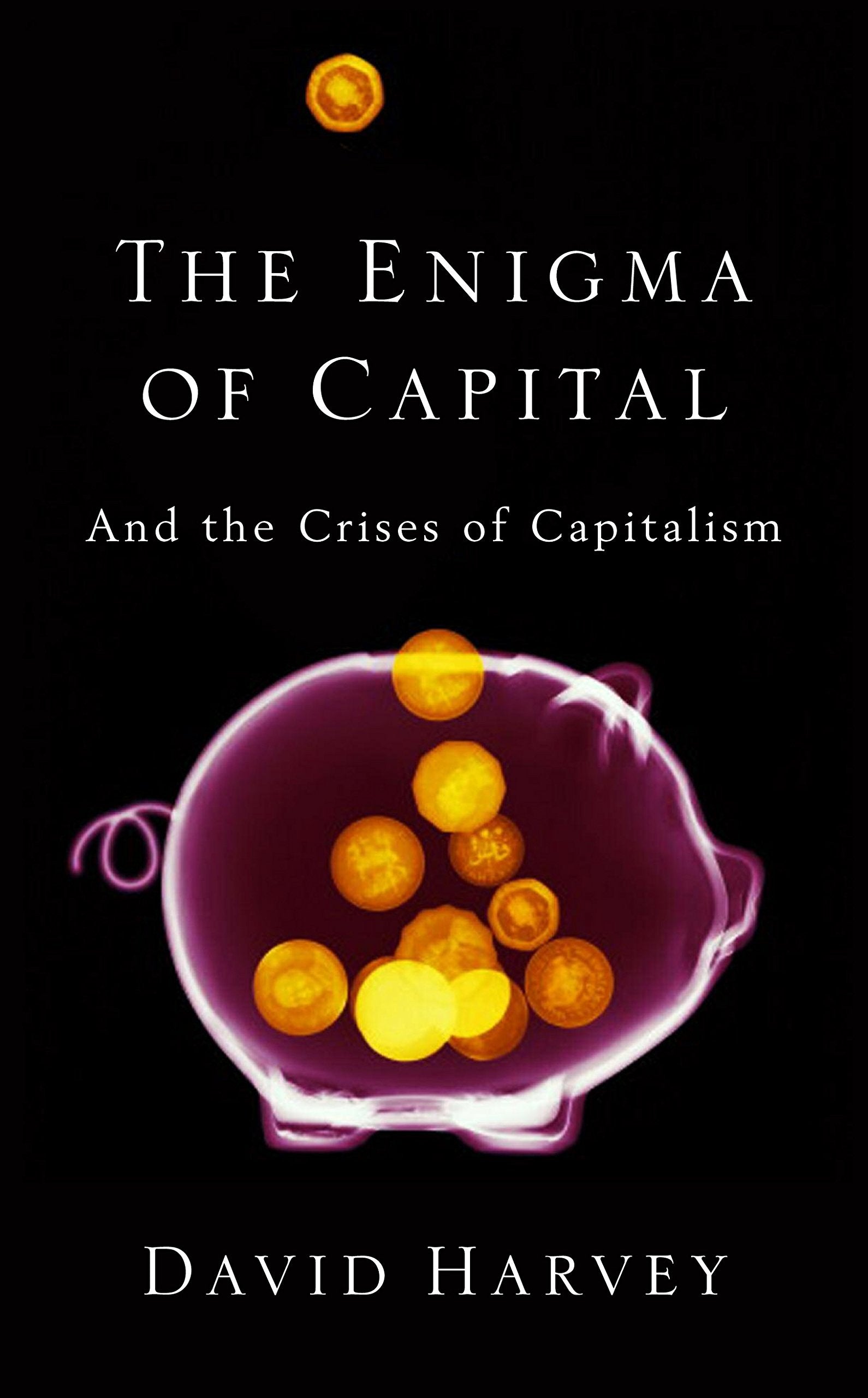 The Enigma of Capital: And the Crises of Capitalism Business, Finance & Career