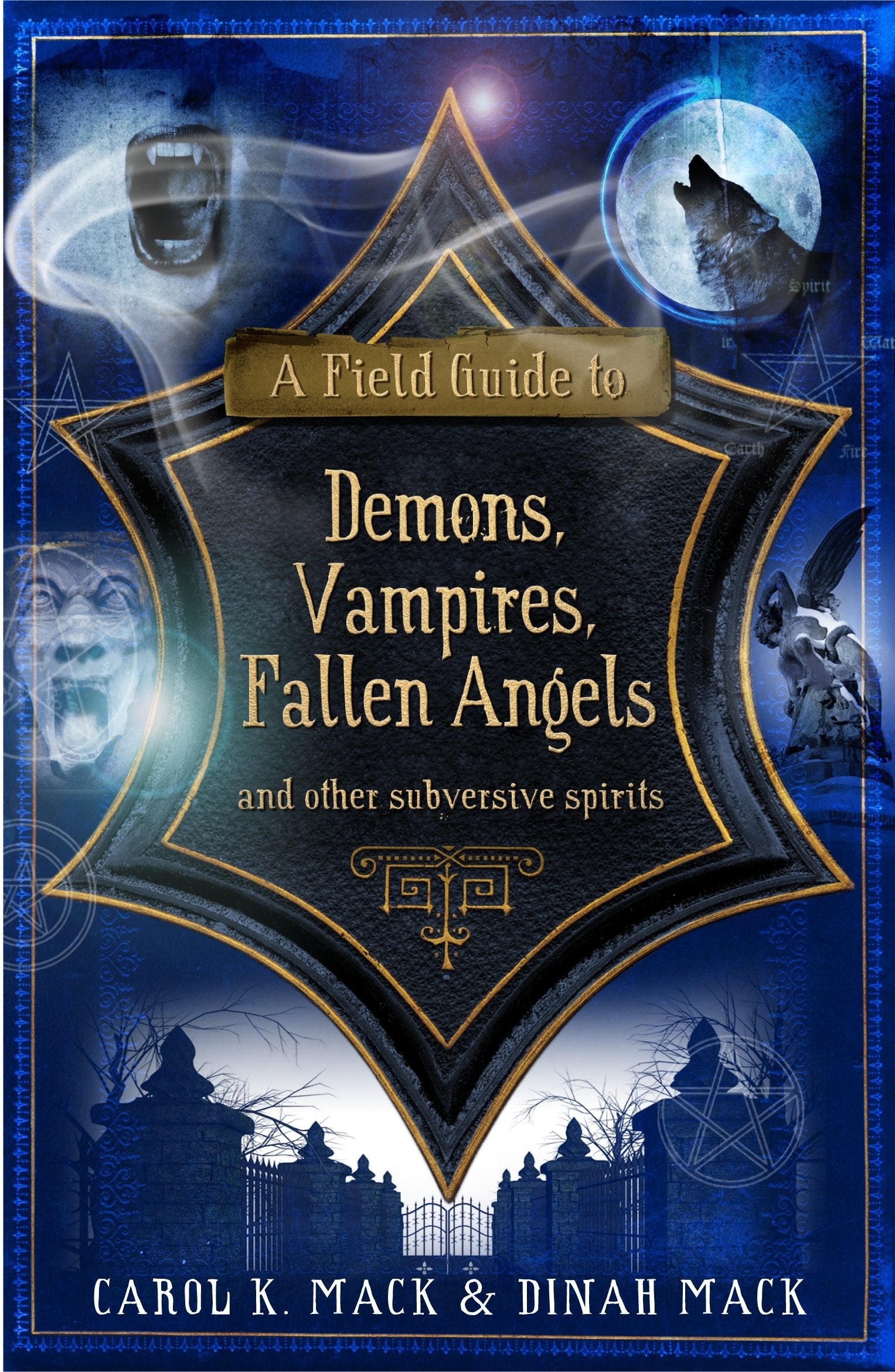 A FIELD GUIDE TO DEMONS…: and Other Subversive Spirits Religion & Esotericism