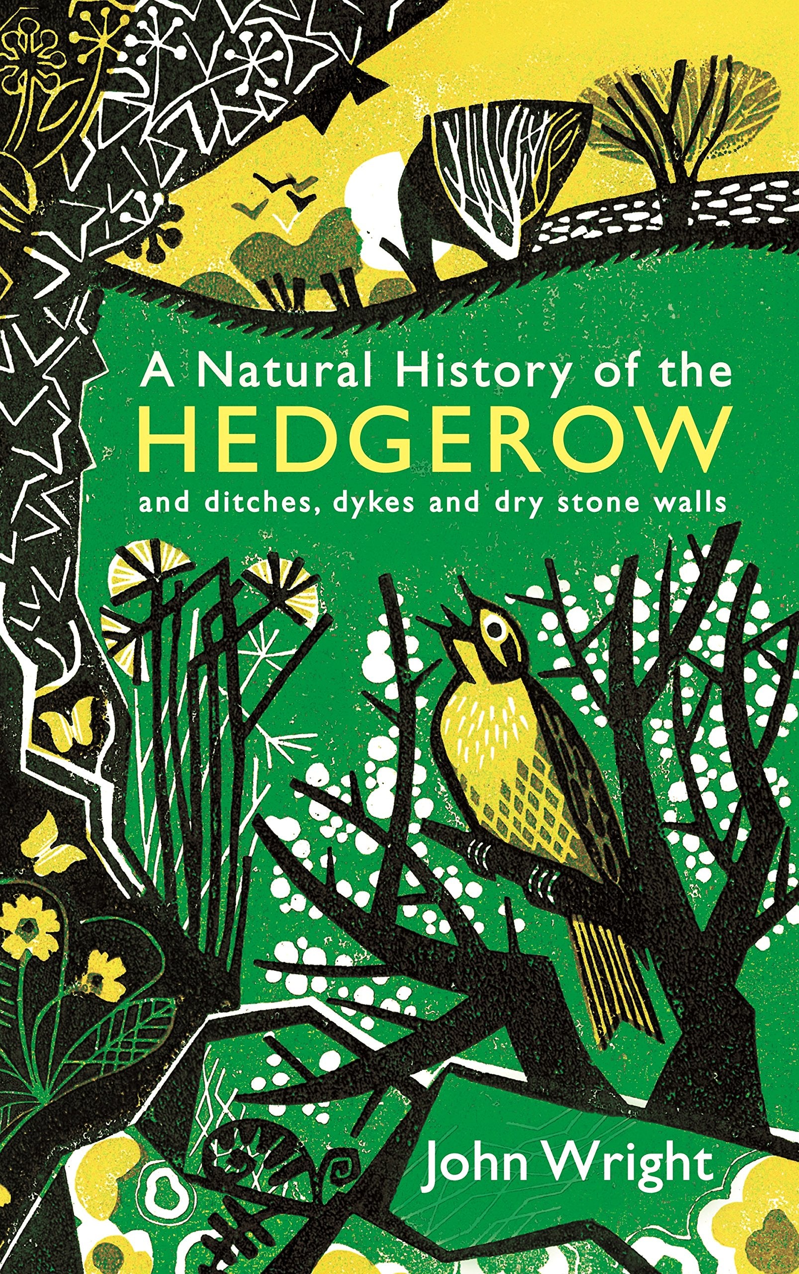 A Natural History of the Hedgerow: and ditches, dykes and dry stone walls Mathematics