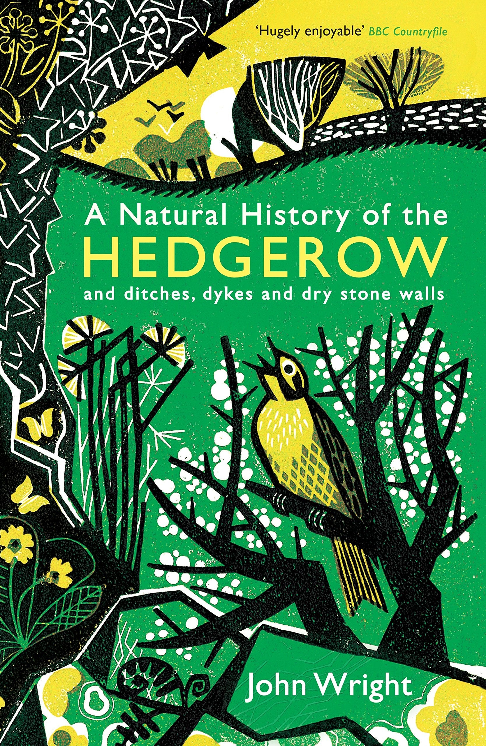 A Natural History of the Hedgerow: and ditches, dykes and dry stone walls Mathematics