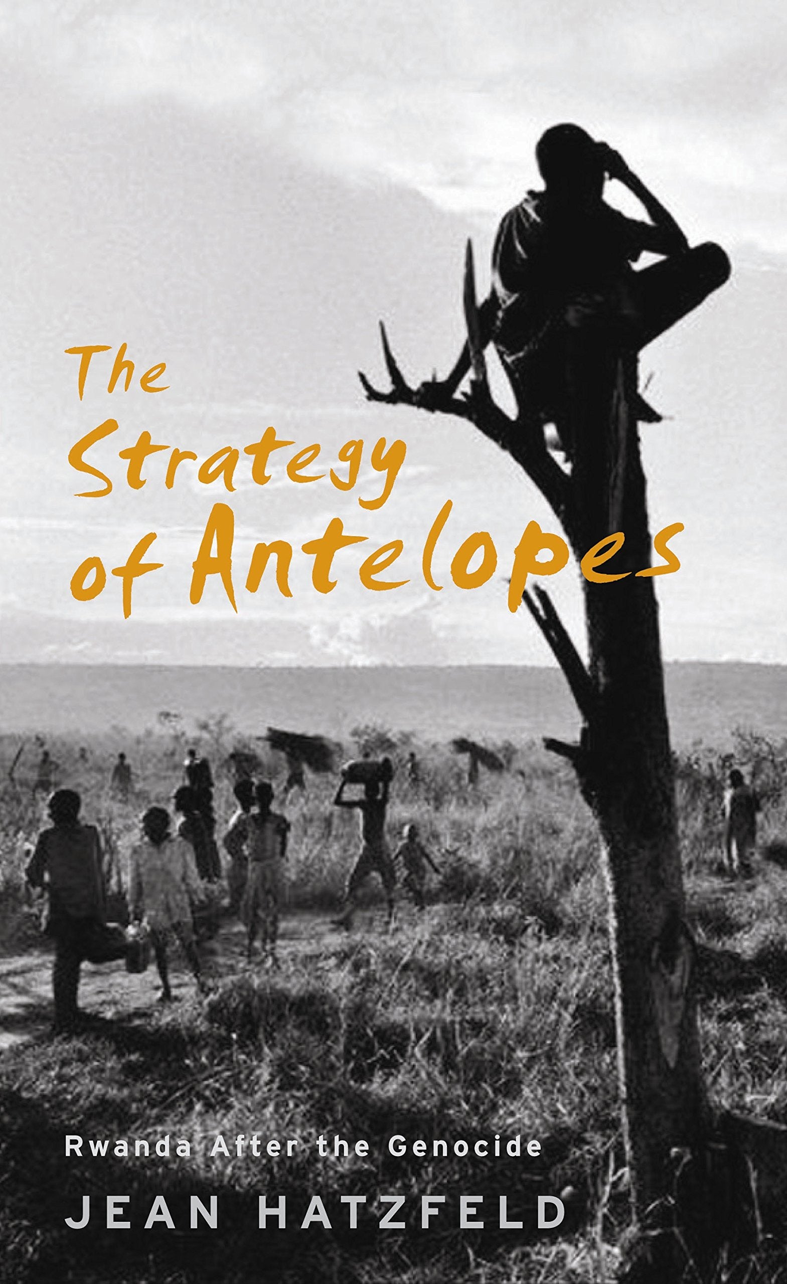 The Strategy Of Antelopes: Rwanda After the Genocide Politics & History