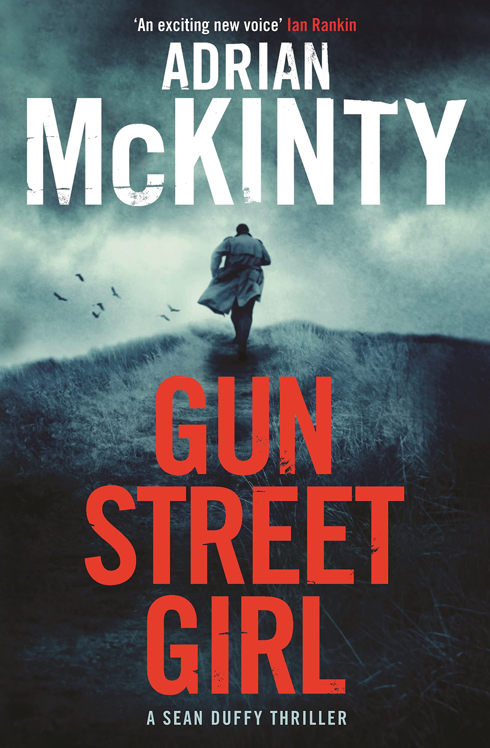 Gun Street Girl (Detective Sean Duffy) Contemporary literature