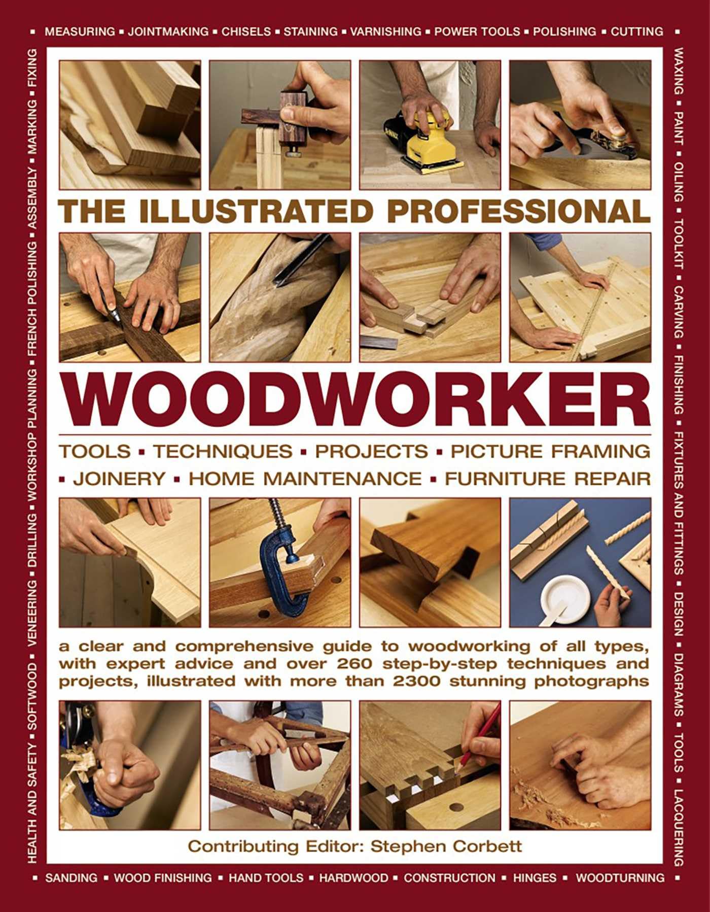 Illustrated Professional Woodworker: Tools * Techniques * Projects * Picture Framing * Joinery * Home Maintenance * Furniture Repair: Tools, Picture ... Over 260 Step-By-Step Techniques and Projects Hobbies & Crafts