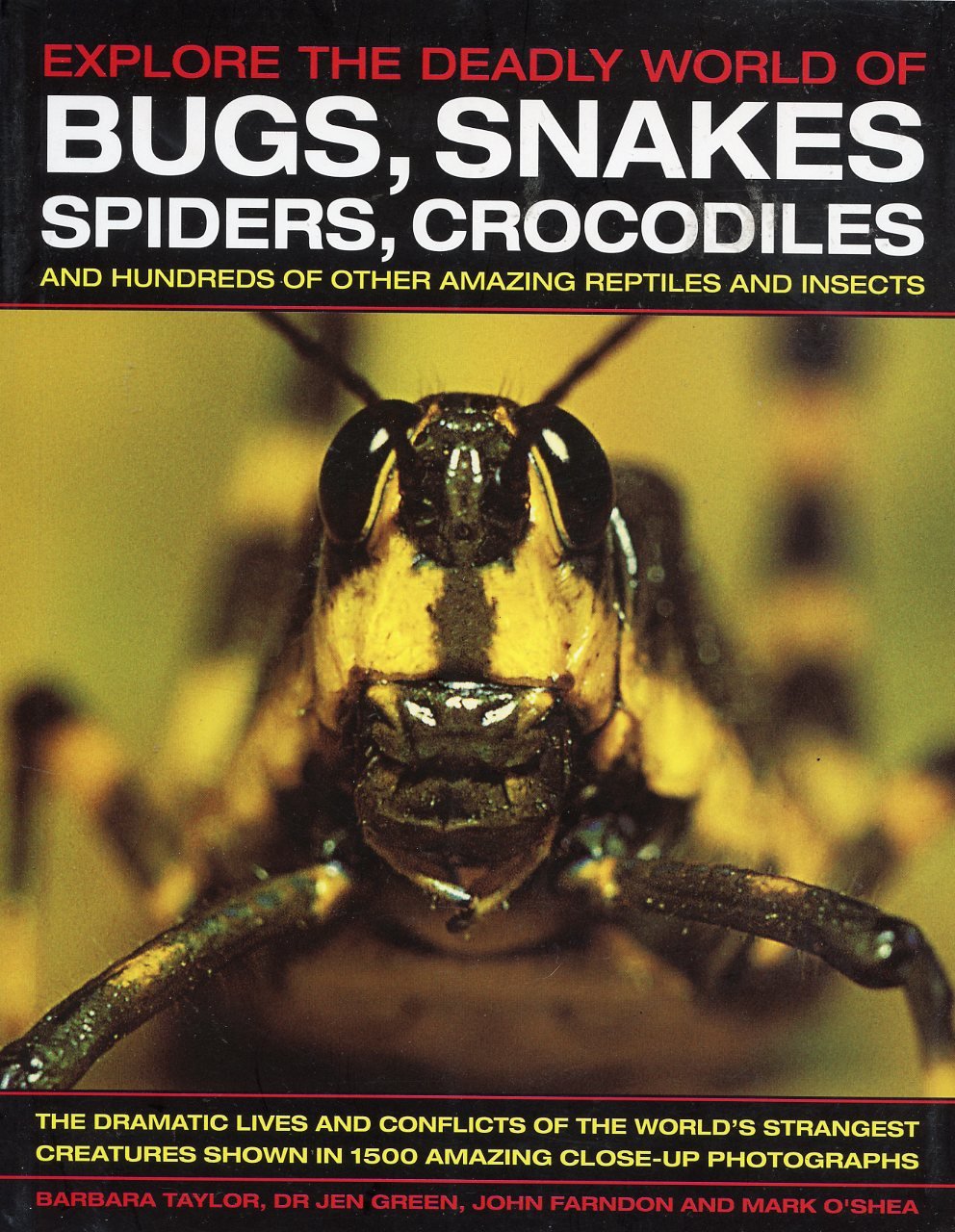 Explore the Deadly World of Bugs, Snakes Spiders, Crocodiles and Hundreds of Other Amazing Repitles book