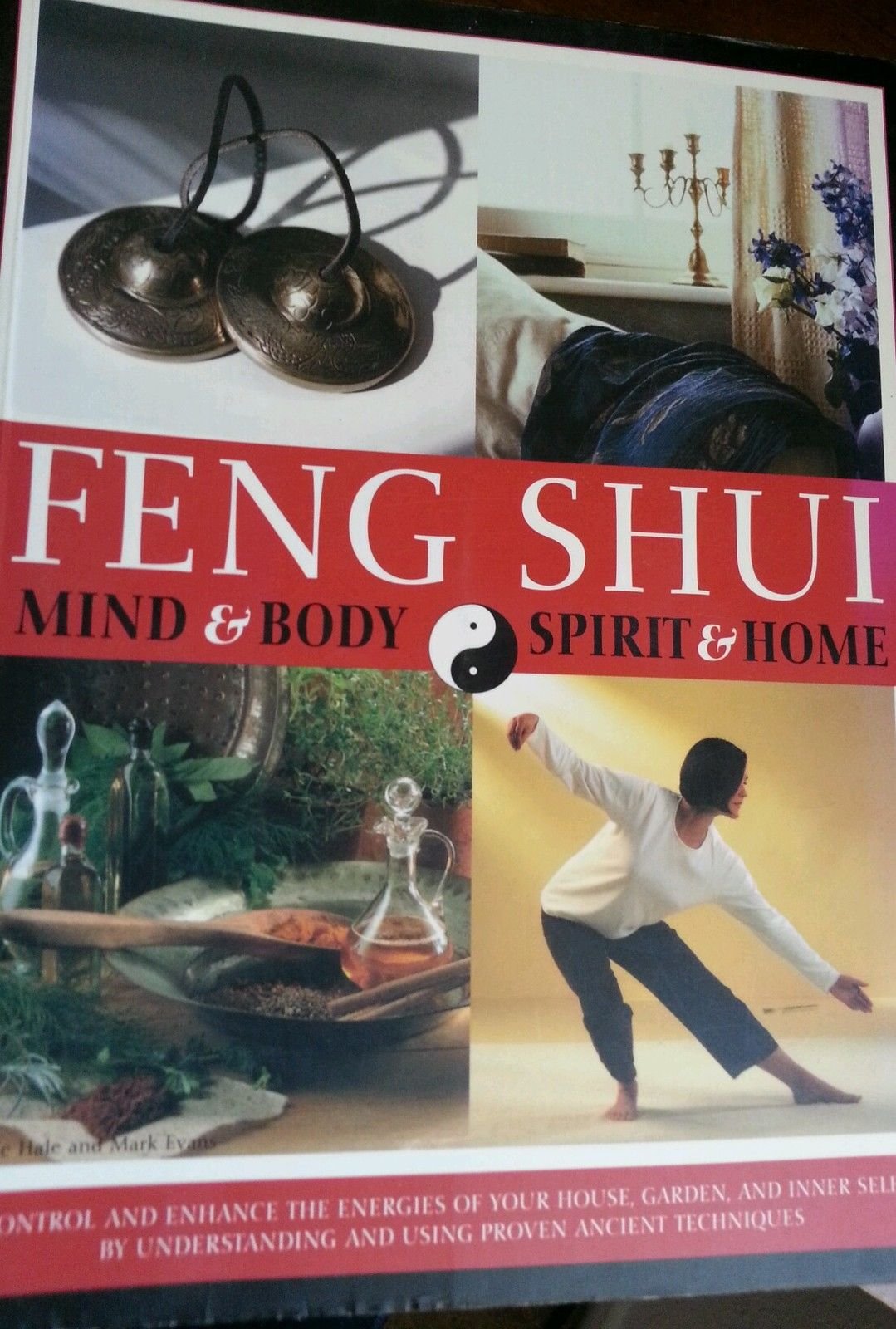 Feng Shui: Mind & Body, Spirit & Home Books