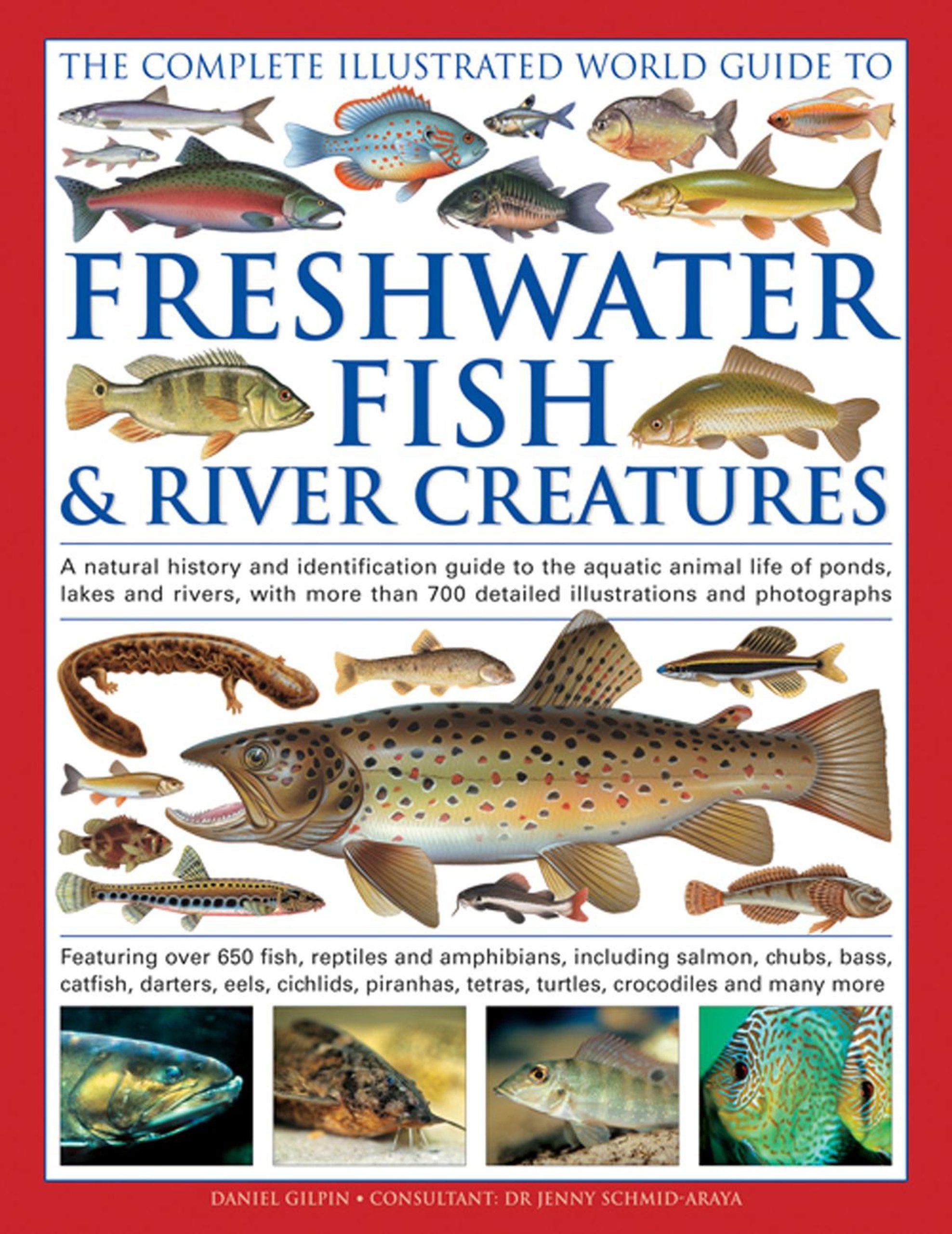 The Complete Illustrated World Guide to Freshwater Fish & River Creatures: A Natural History and Identification Guide to the Aquatic Animal Life of ... 700 Detailed Illustrations and Photographs Mathematics