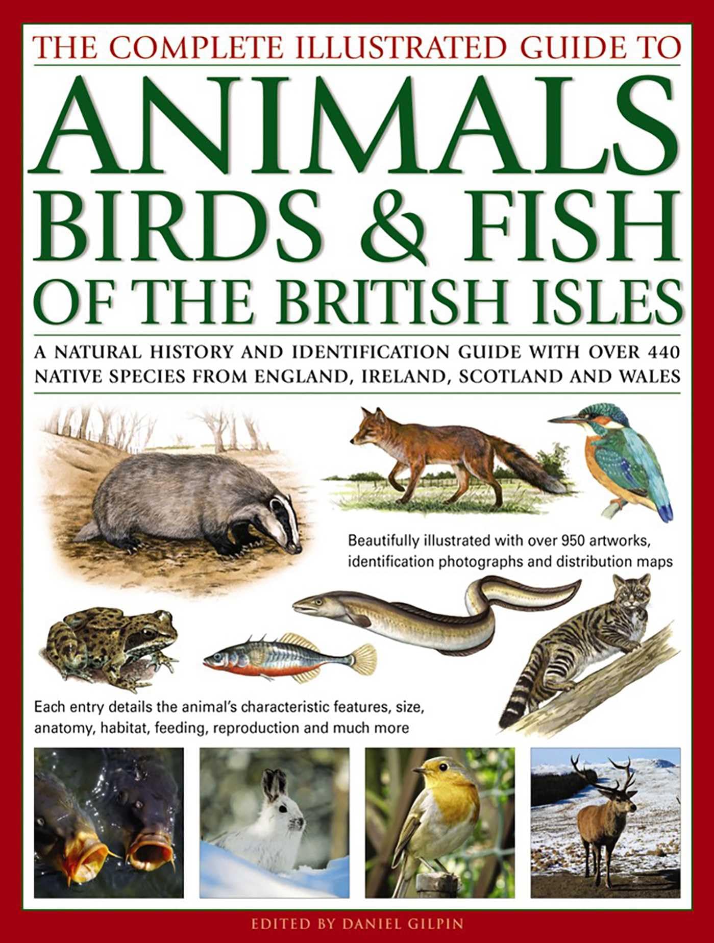 The Complete Illustrated Guide to Animals, Birds & Fish of the British Isles Mathematics
