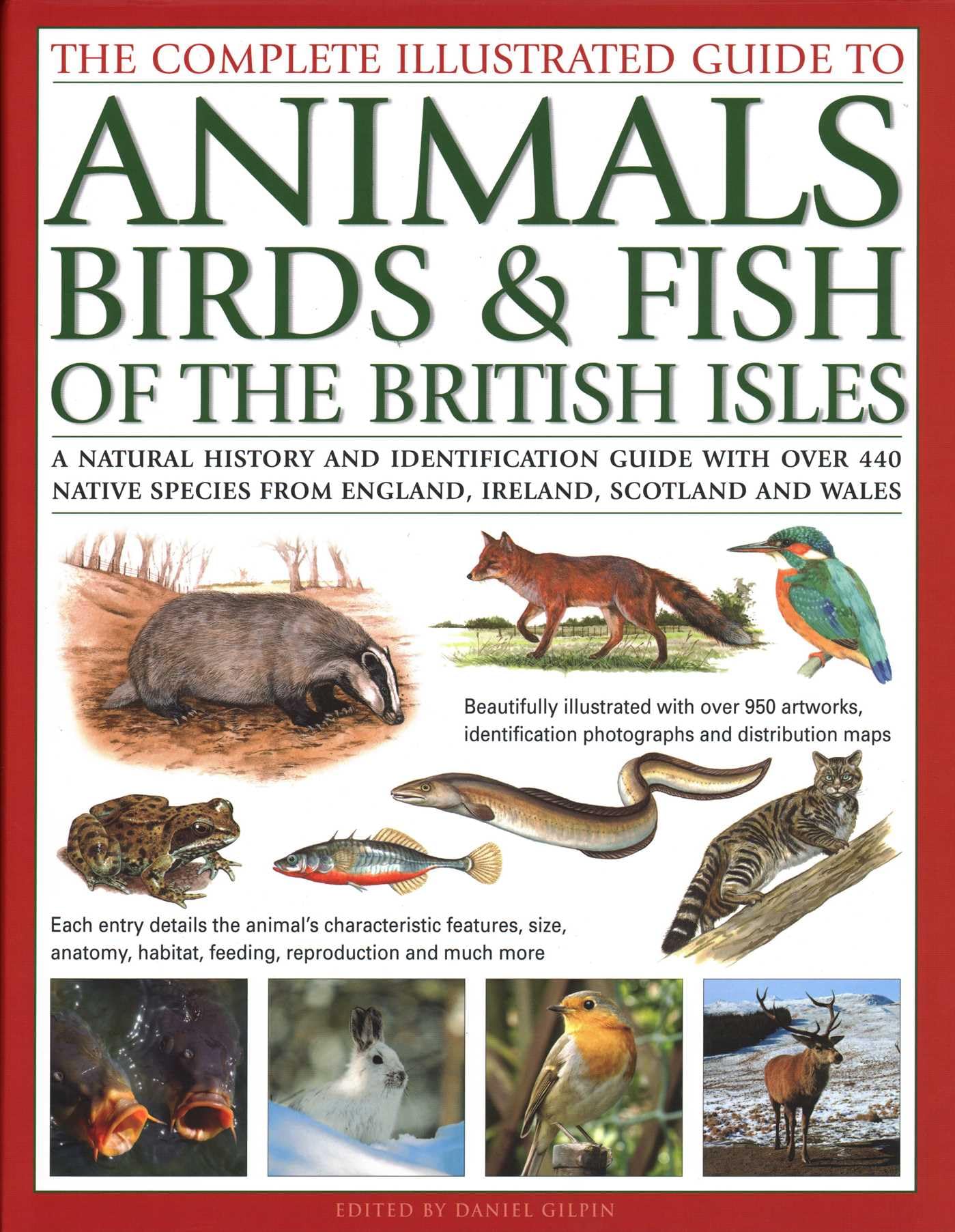 The Complete Illustrated Guide to Animals, Birds & Fish of the British Isles Mathematics