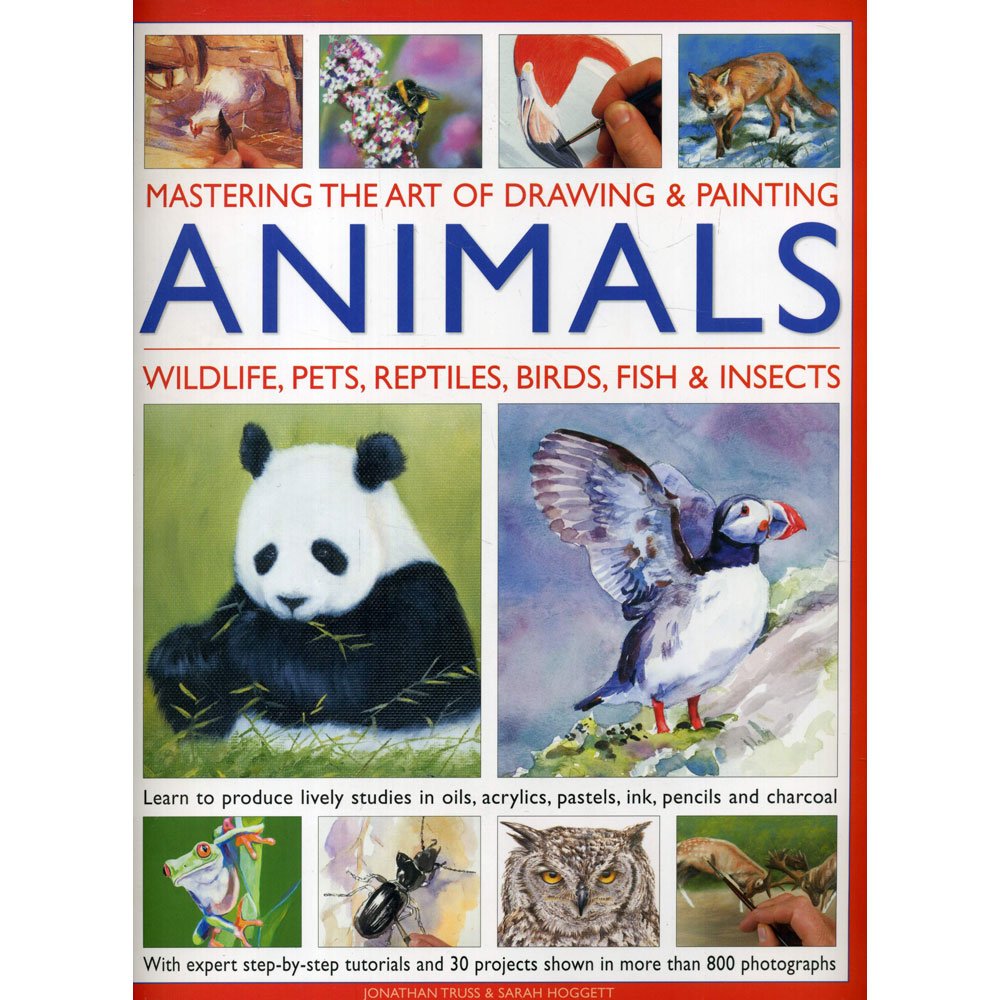 Mastering The Art Of Zeichnen & Malen Tiere Books