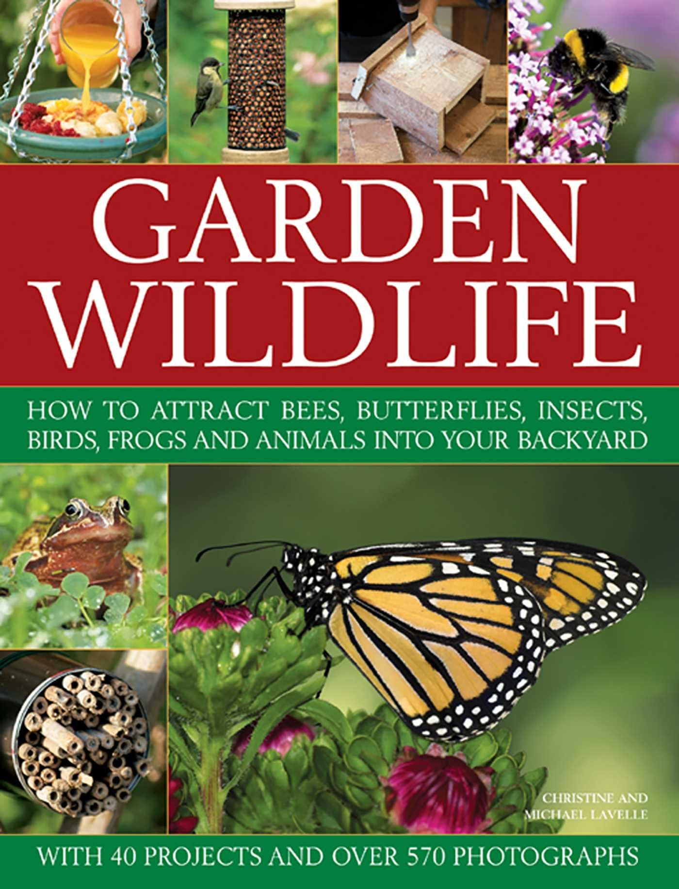 Garden Wildlife: How to Attract Bees, Butterflies, Insects, Birds, Frogs and Animals Into Your Backyard Mathematics