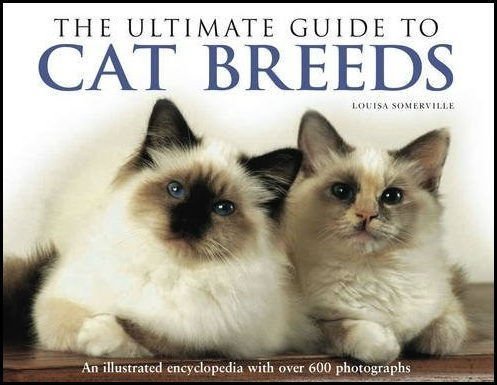 Product Image: The Ultimate Guide to Cat Breeds