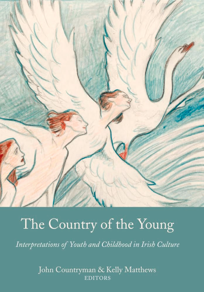 The Country of the Young: Interpretations of Youth and Childhood in Irish Culture Contemporary literature Books