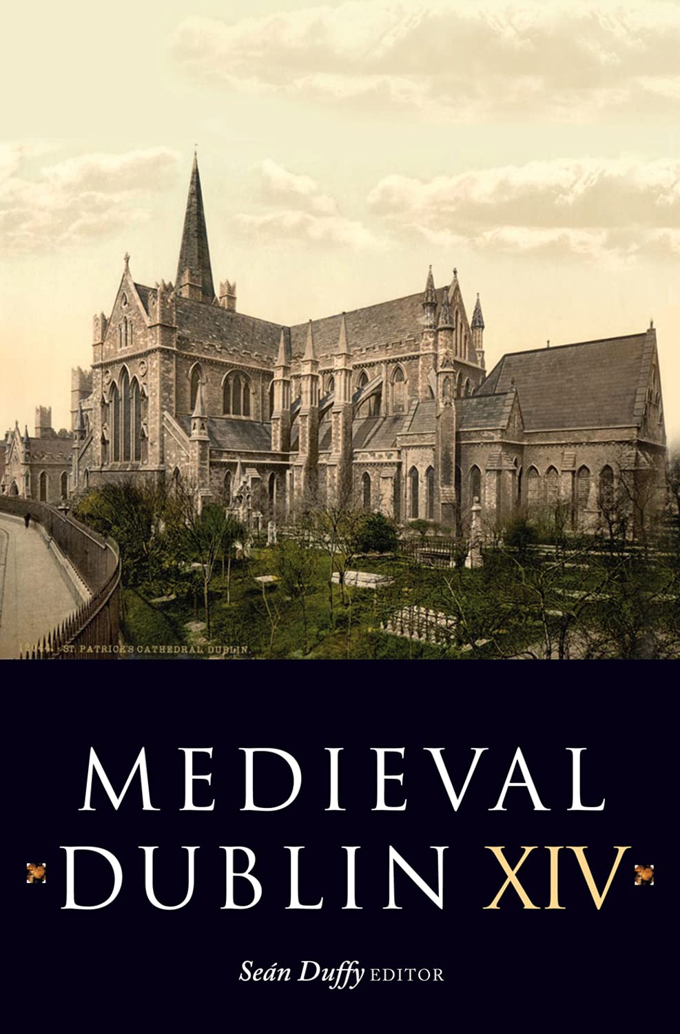 Medieval Dublin XIV: Proceedings of the Friends of Medieval Dublin Symposium 2012: Proceedings of the Friends of Medieval Dublin Symposium 2012 Volume 14 Social Sciences