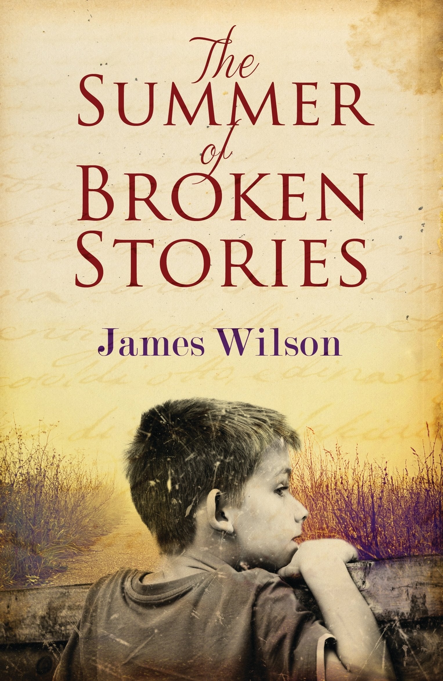 The Summer of Broken Stories Contemporary literature