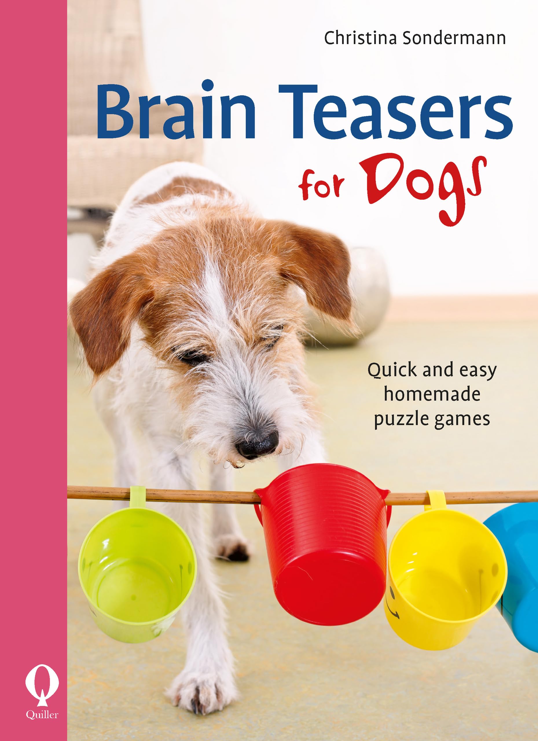 Brain Teasers for Dogs: Quick and Easy Homemade Puzzle Games book
