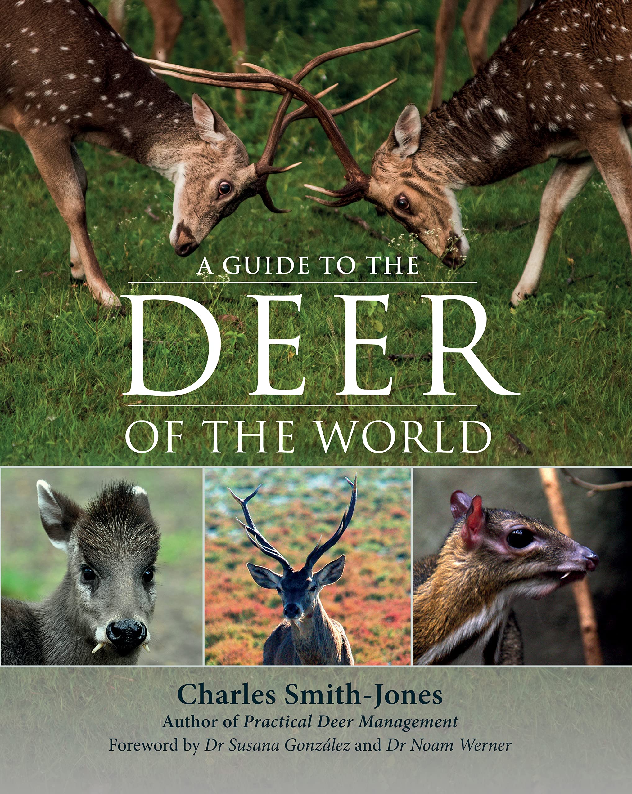 A Guide to the Deer of the World Mathematics