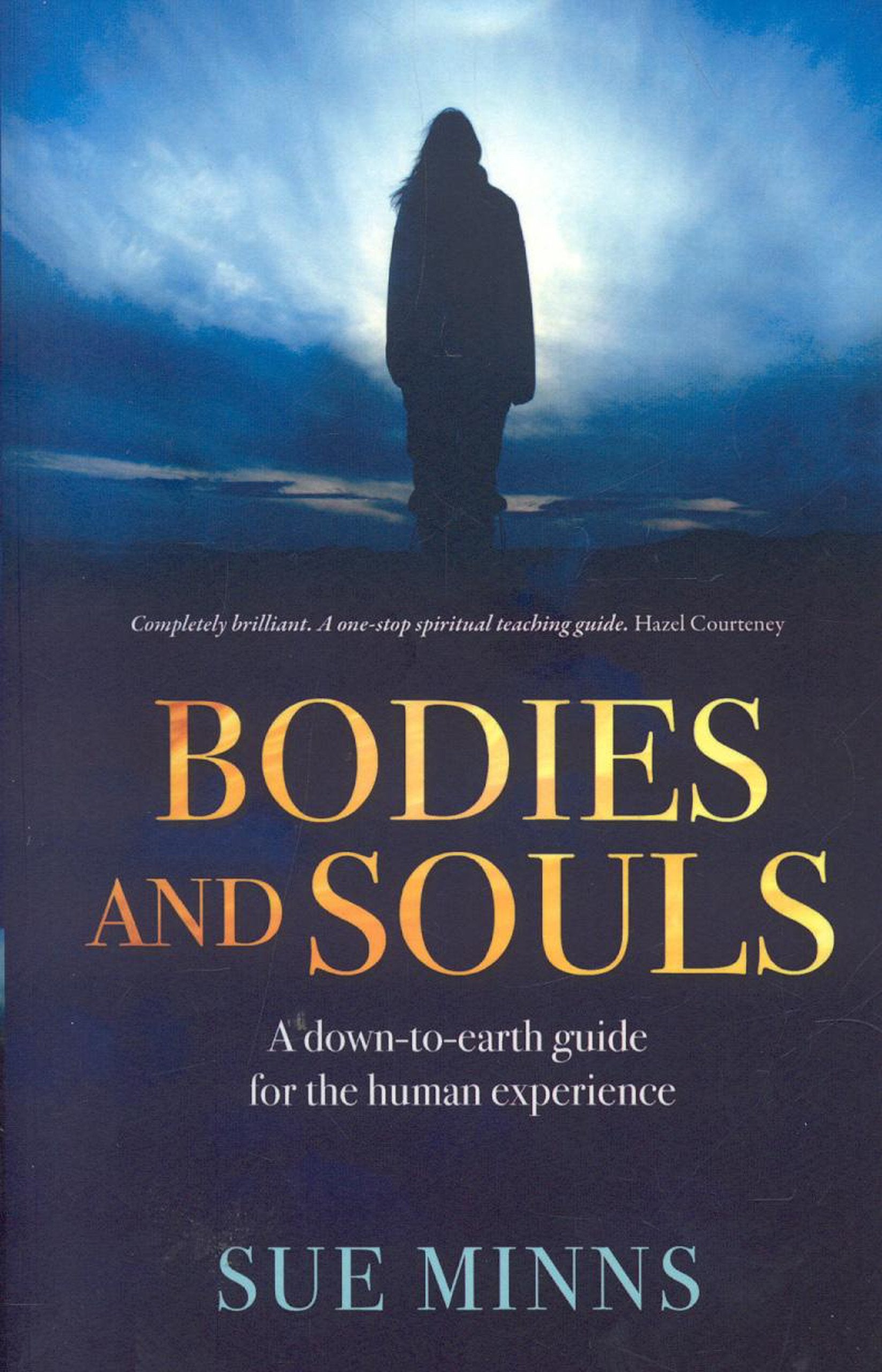 Bodies and Souls: A Down-to-earth Guide to the Human Experience book
