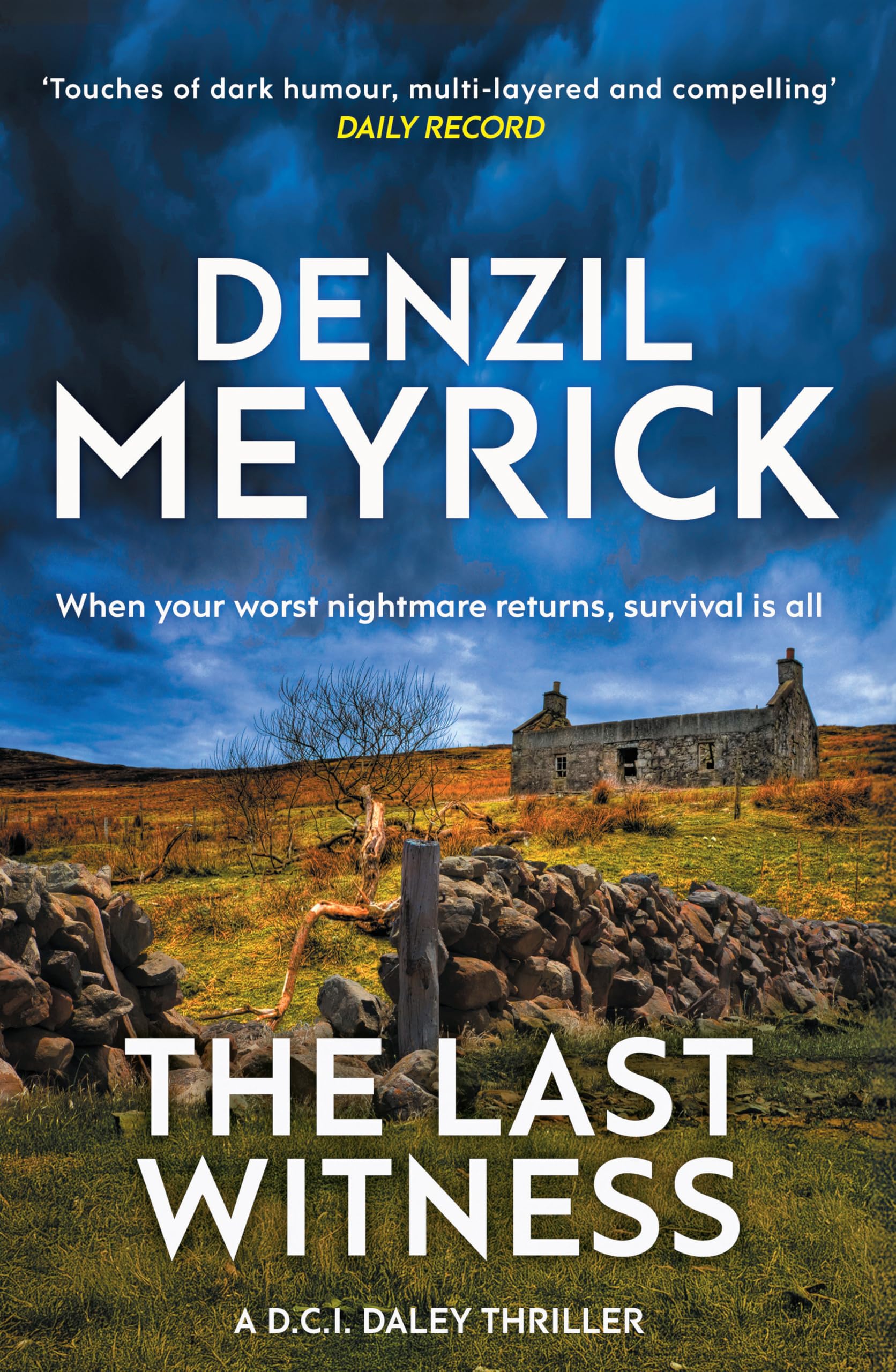 The Last Witness Contemporary literature