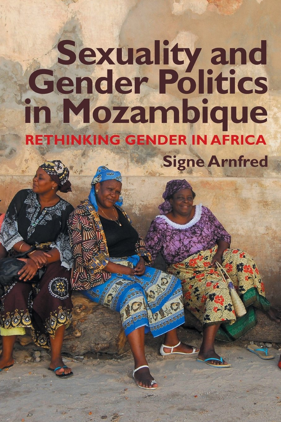 Sexuality and Gender Politics in Mozambique Books