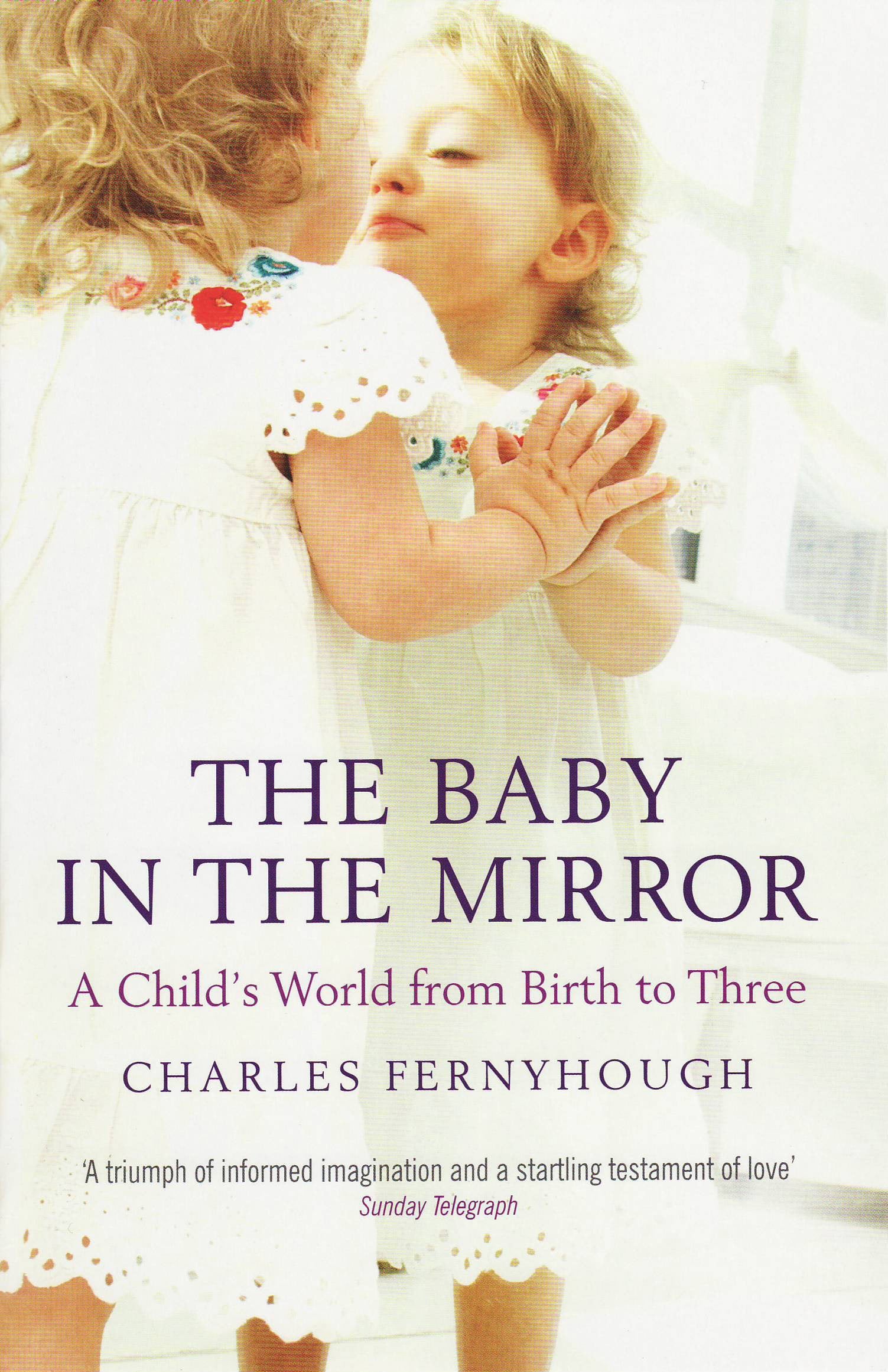 The Baby In The Mirror book