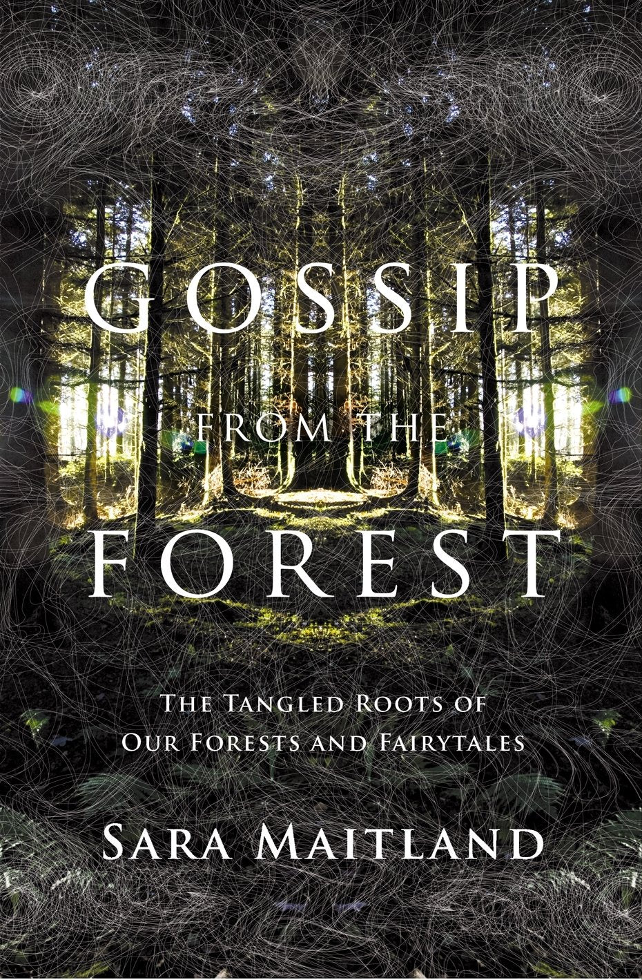 Gossip from the Forest: A Search for the Hidden Roots of Our Fairytales Books