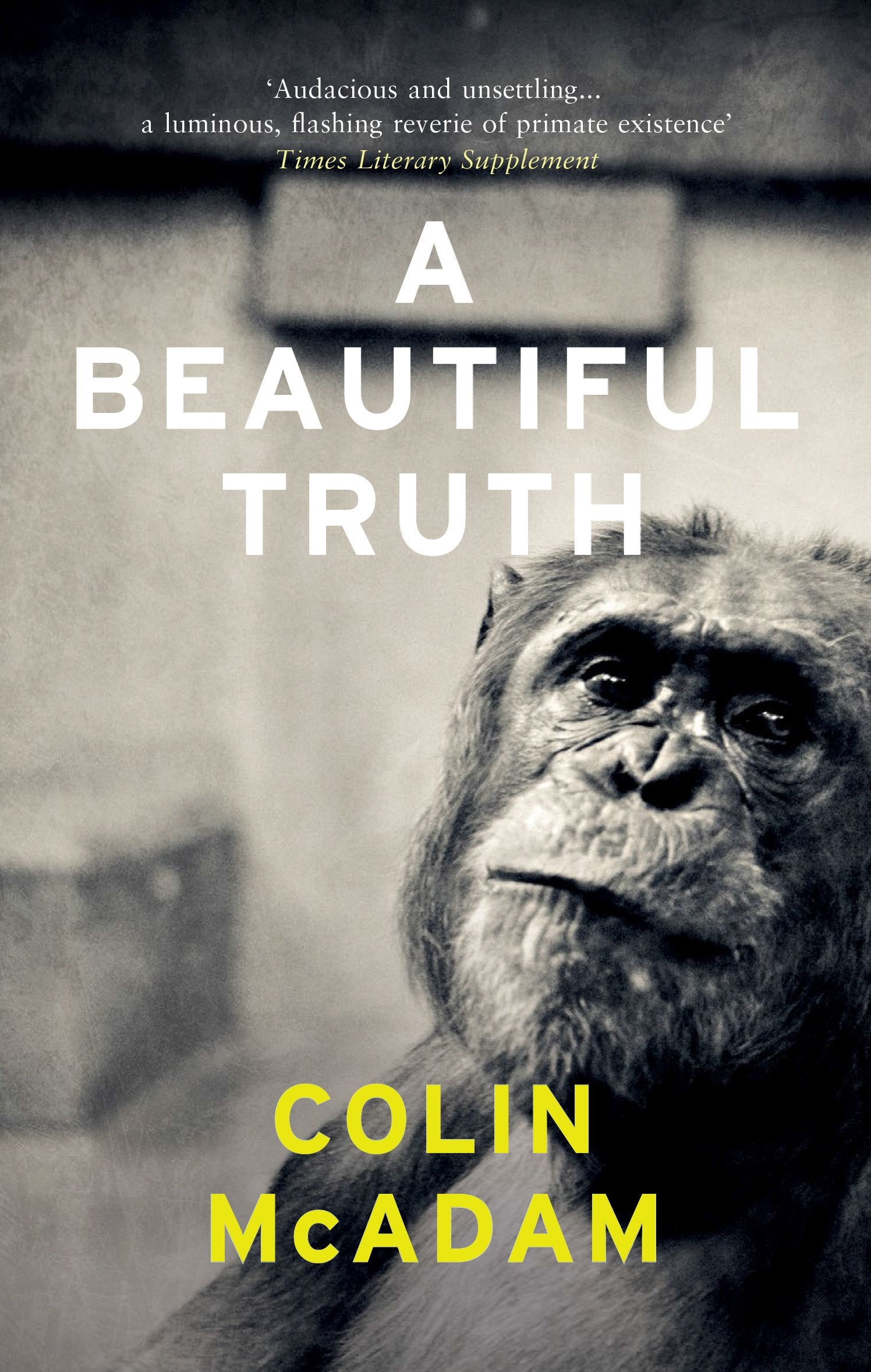 Product Image: A Beautiful Truth